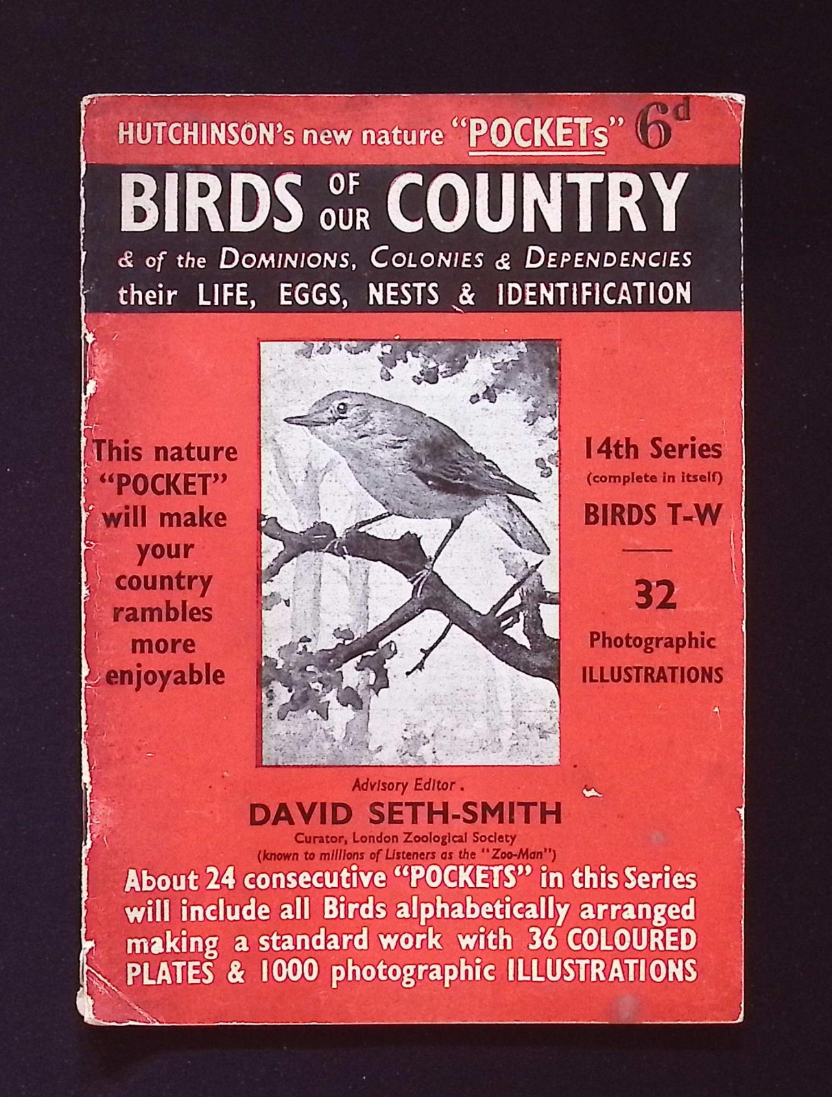 Hutchinson&rsquo;s New Nature « Pockets » Birds of our Country booklet, 14th Series T-W