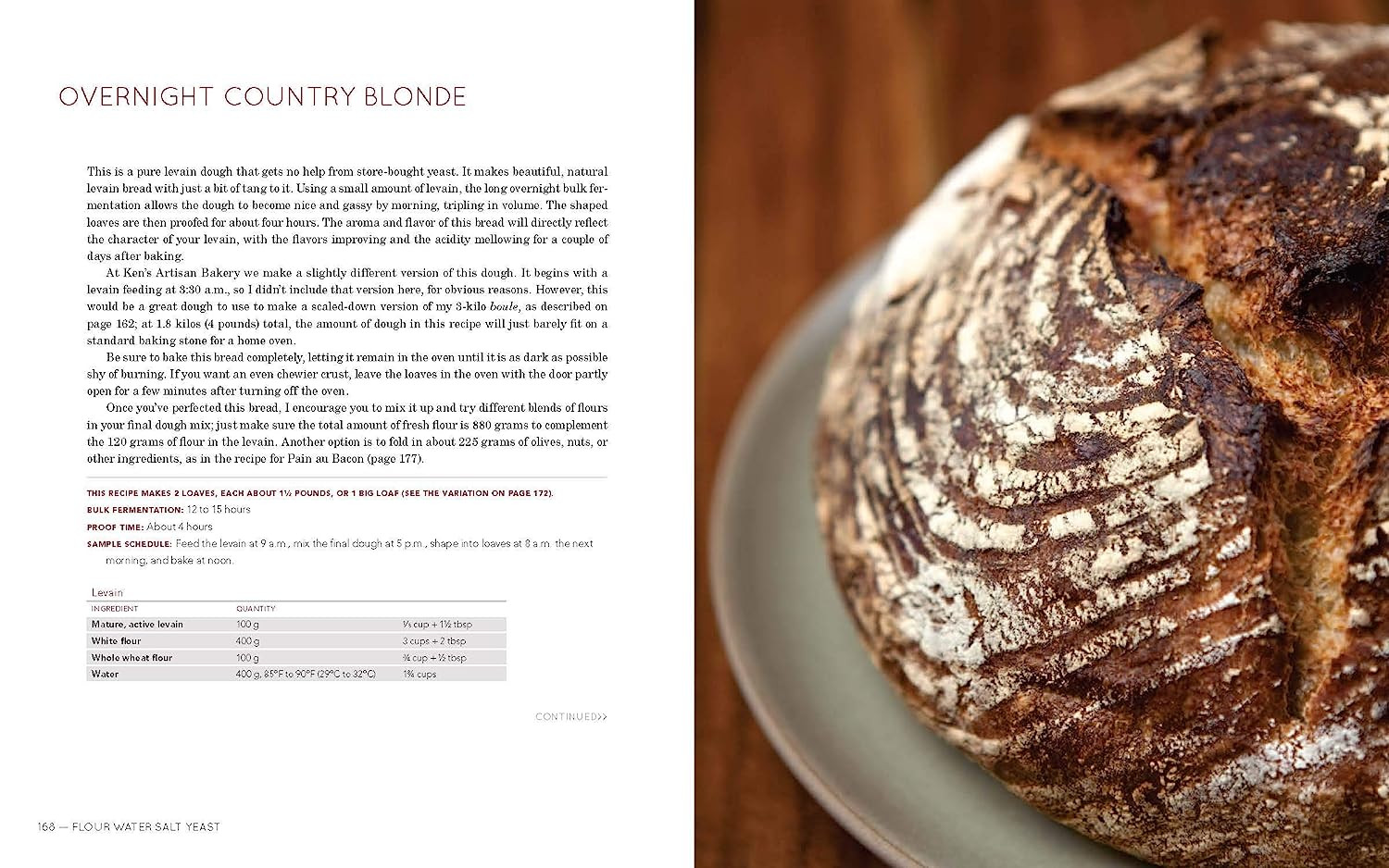 Flour Water Salt Yeast: the Fundamentals of Artisan Bread and Pizza [A Cookbook]