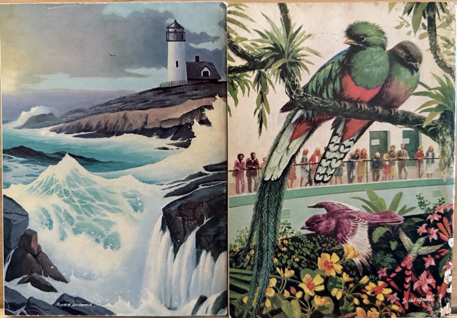 1976 August September (2) READER&rsquo;S DIGEST MAGAZINE Vintage Retro Timeless Shorts