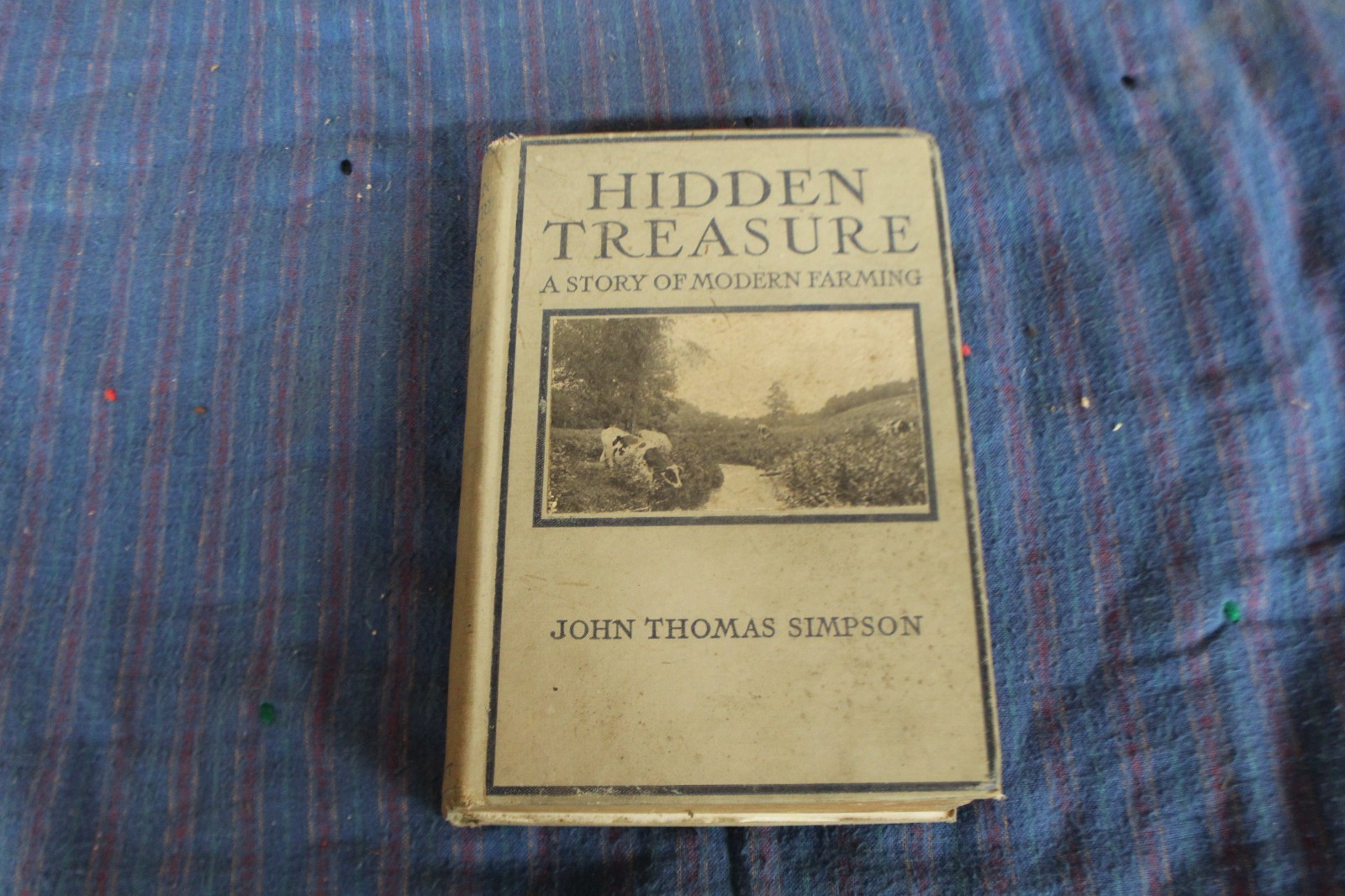 Hidden Treasure: A Story of Modern Farming by John Thomas Simpson 1919