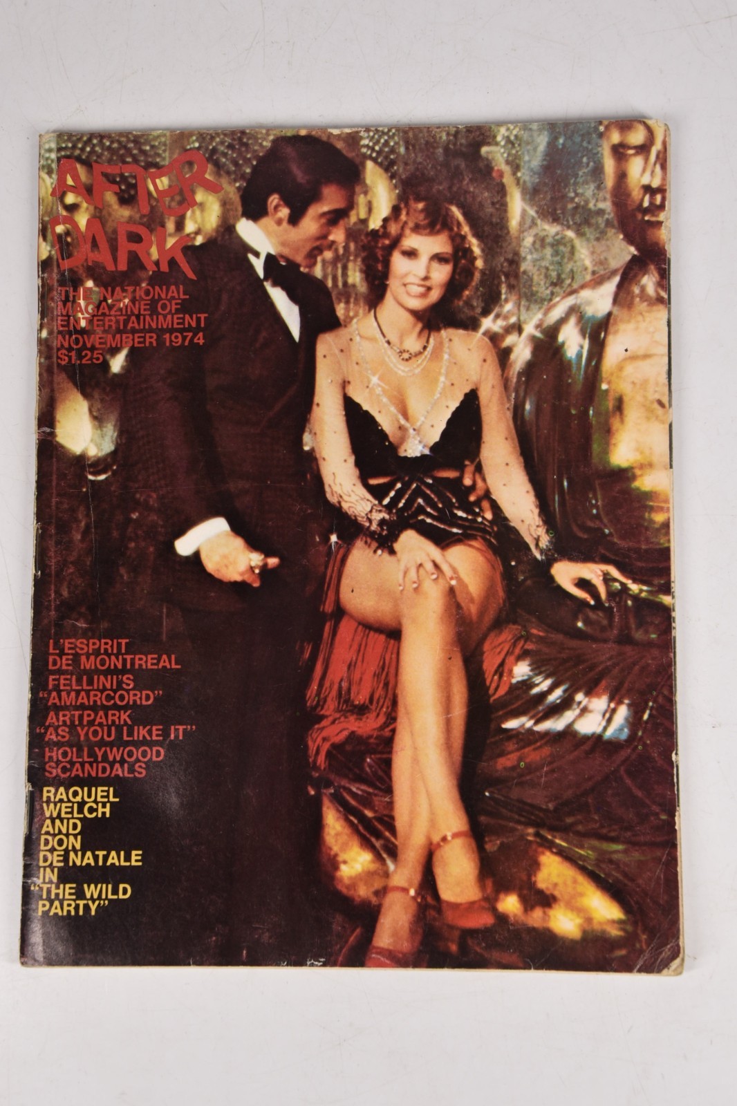 Vintage After Dark Magazine Nov 1974 Raquel Welch Wild Party Gay Interest LGBTQ