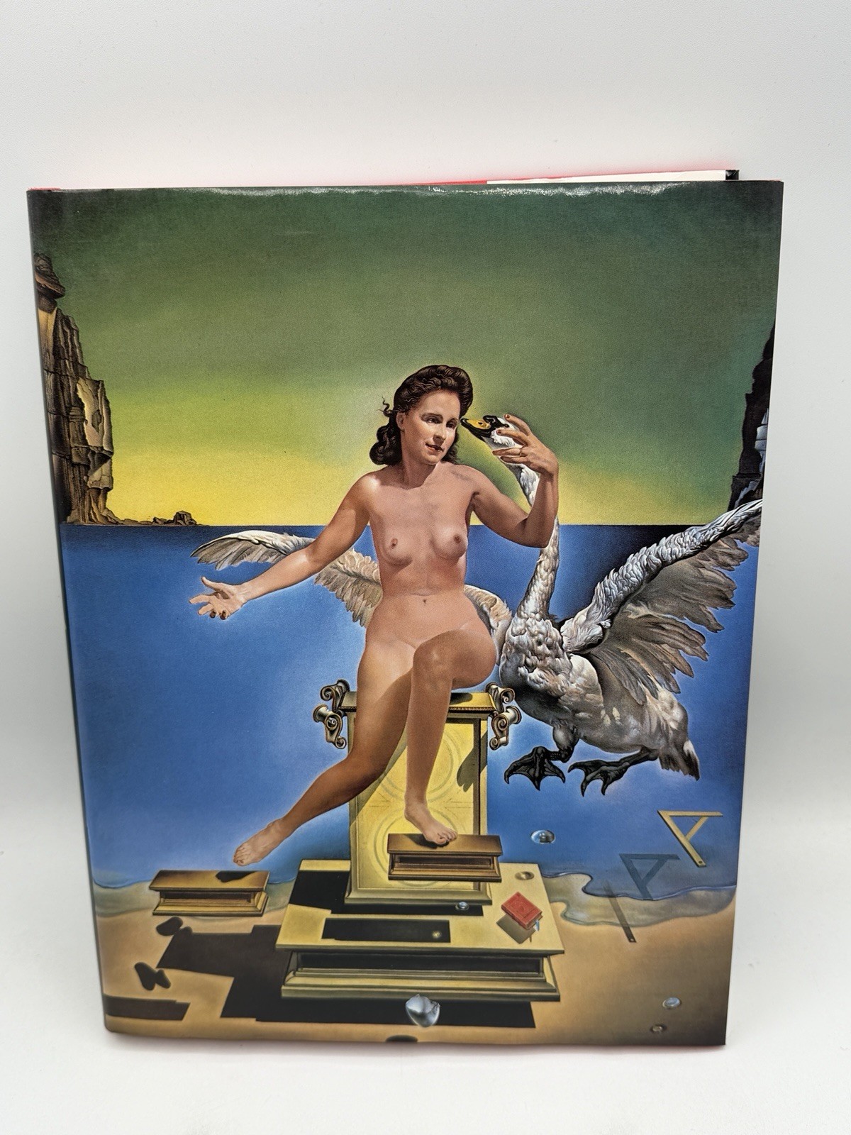 SALVADOR DALI The Paintings Benedikt Taschen Volumes I and II USED Free Shipping