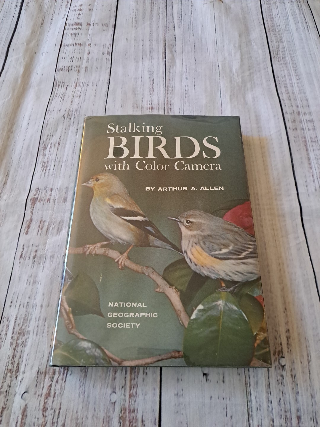 Stalking Birds with Color Camera 1961 by Arthur A. Allen 424 Photos w/329 Pages
