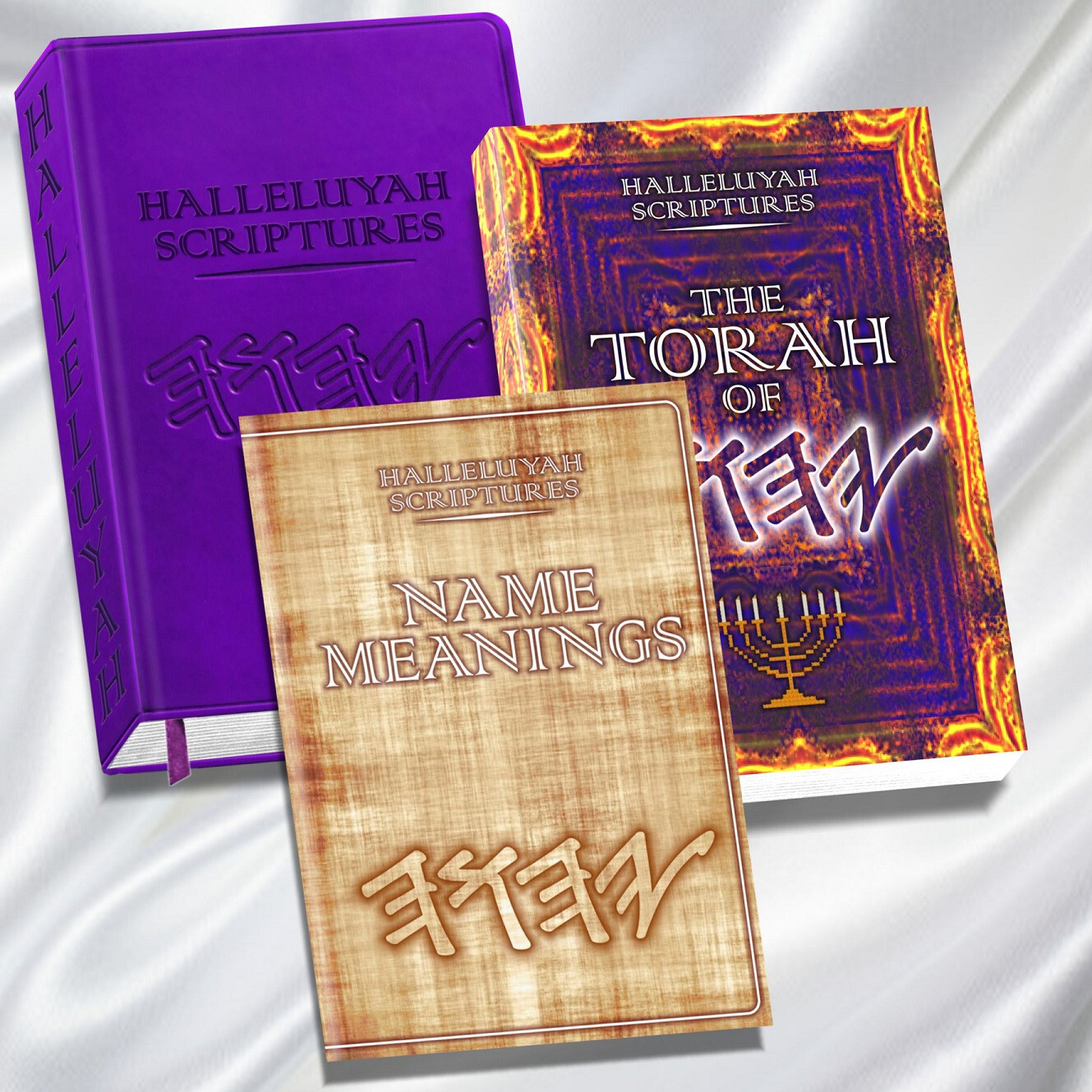 BIBLE The Best Restored Names PU Leather Bible & Extra 2 Book