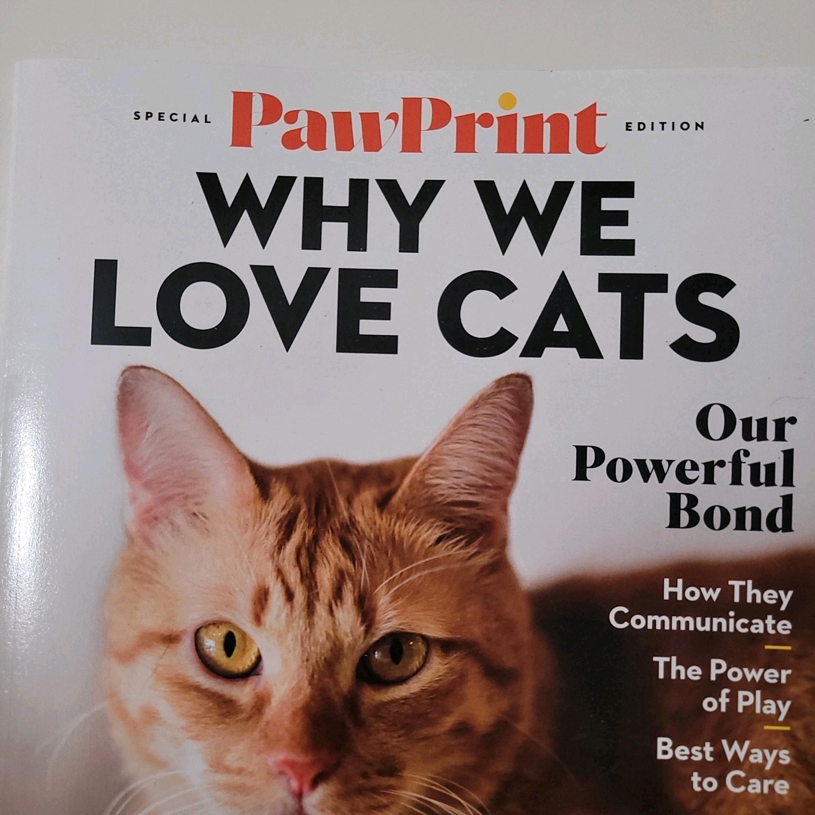 Paw Print Magazine Why We Love Cats – A Powerful Bond March 2023 EUC