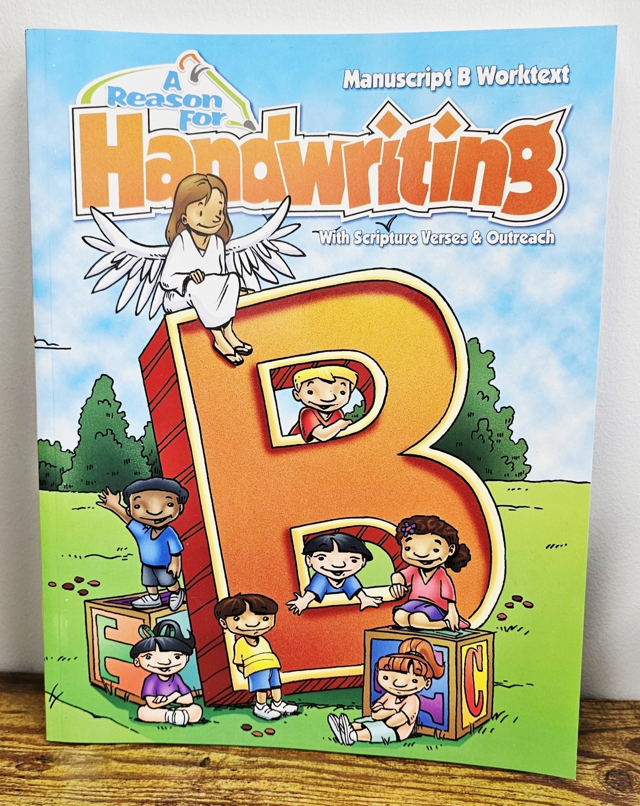 A Reason For Handwriting Manuscript B Worktext Handwriting