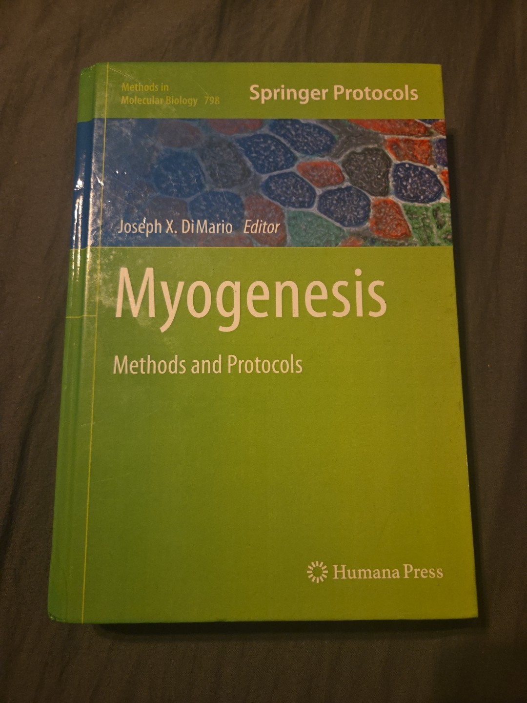 Myogenesis: Methods And Protocols (In Molecular Biology By Joseph X. Dimario 798