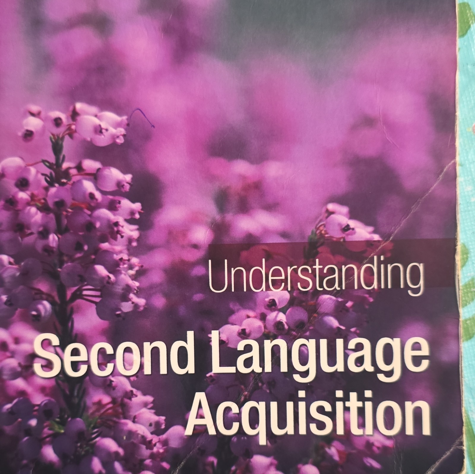 Understanding Second Language Acquisition Lourdes Ortega PB 2009 Routledge