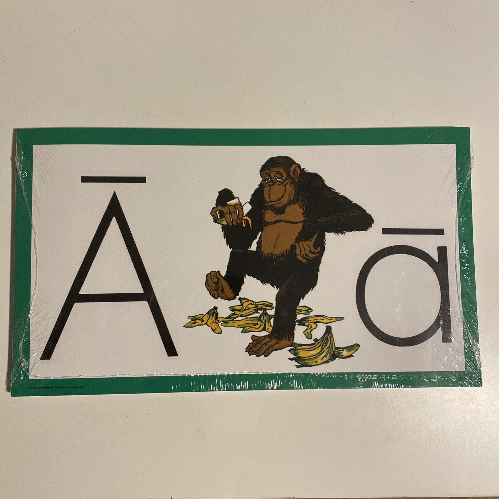 ACE Flash Cards Display Cards Tactile-Kinetic Accelerated Christian Education