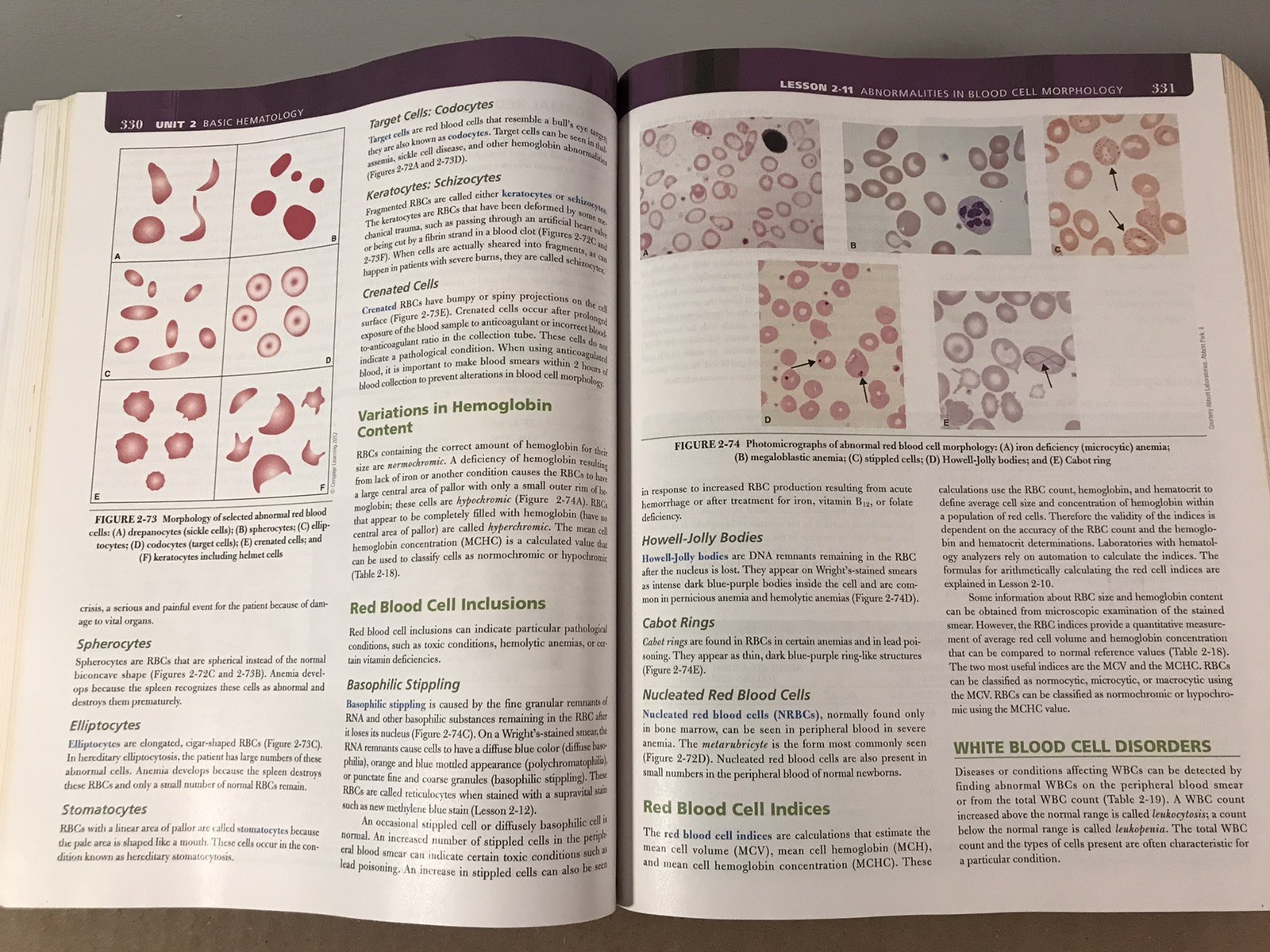 Basic Clinical Laboratory Techniques – Sixth 6th Edition – 2012 Paperback