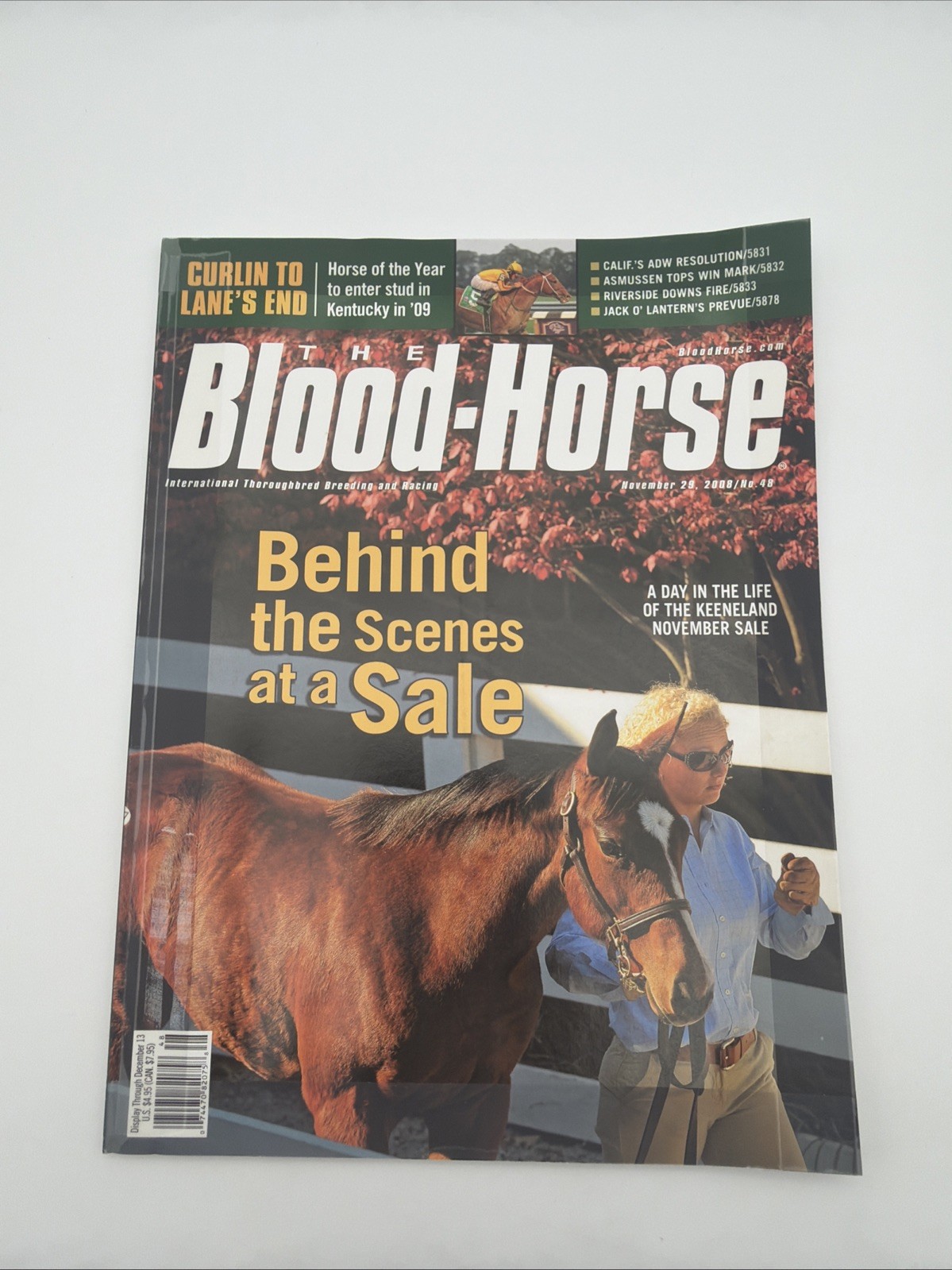 The Blood-Horse Magazine November 29, 2008 / Behind The Scenes At A Sale
