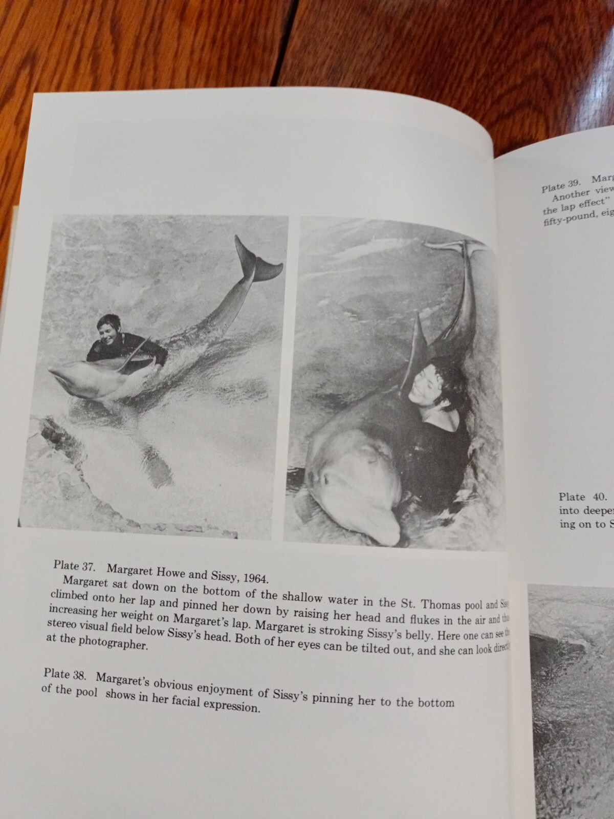 Communication Between Man and Dolphin John C. Lilly 1978 Vintage