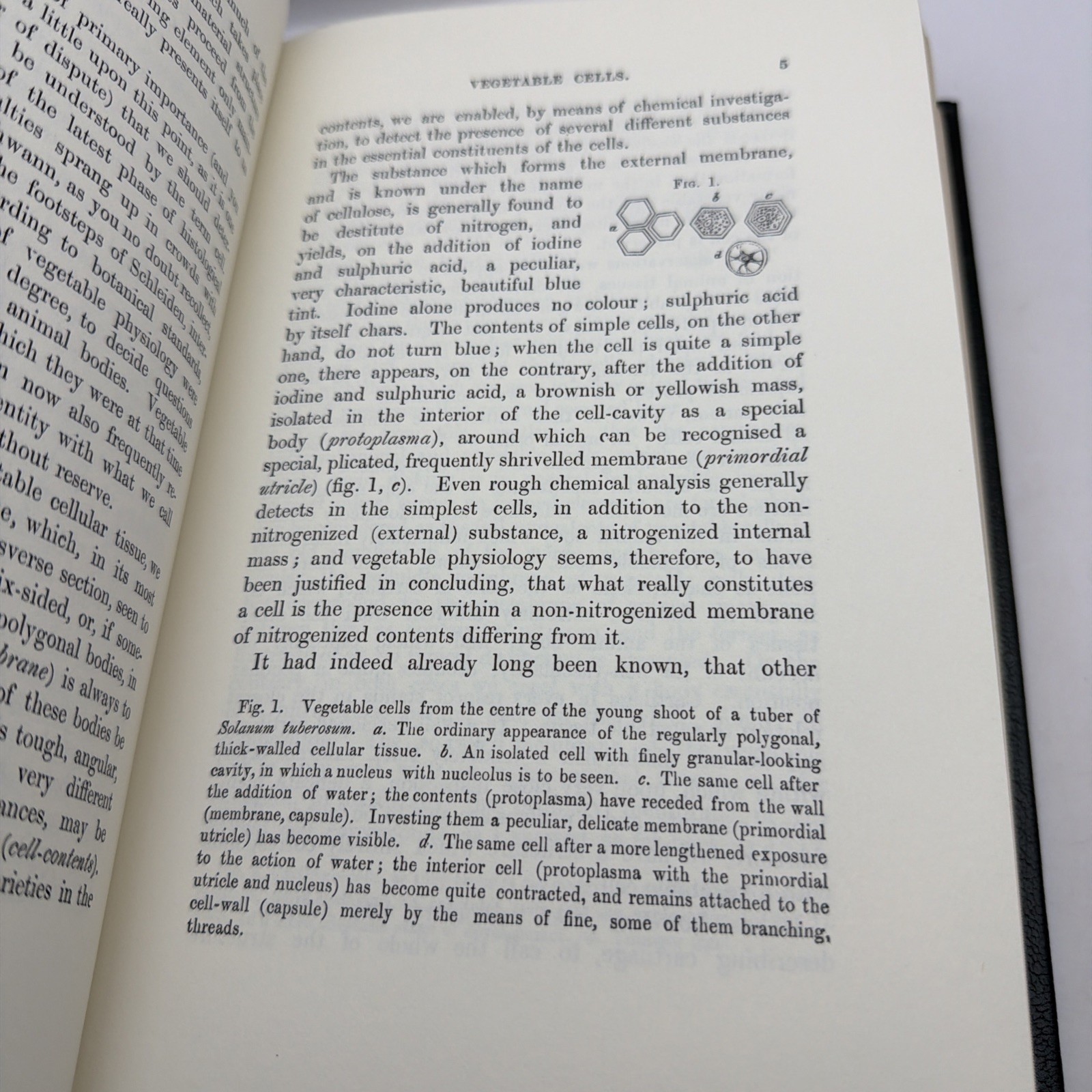 Cellular Pathology by Rudolph Virchow The Classics of Medicine Library