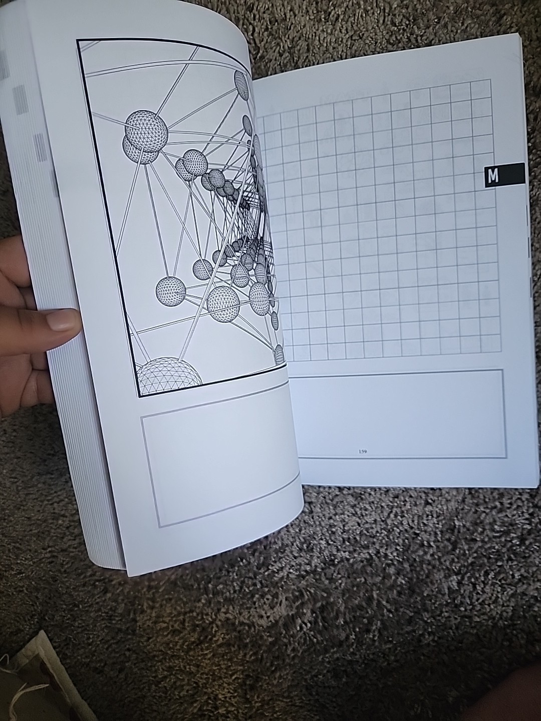 Thinking Tree – 10 Subject Portfolio : 1 Year Plan – Illustrated for All Ages –