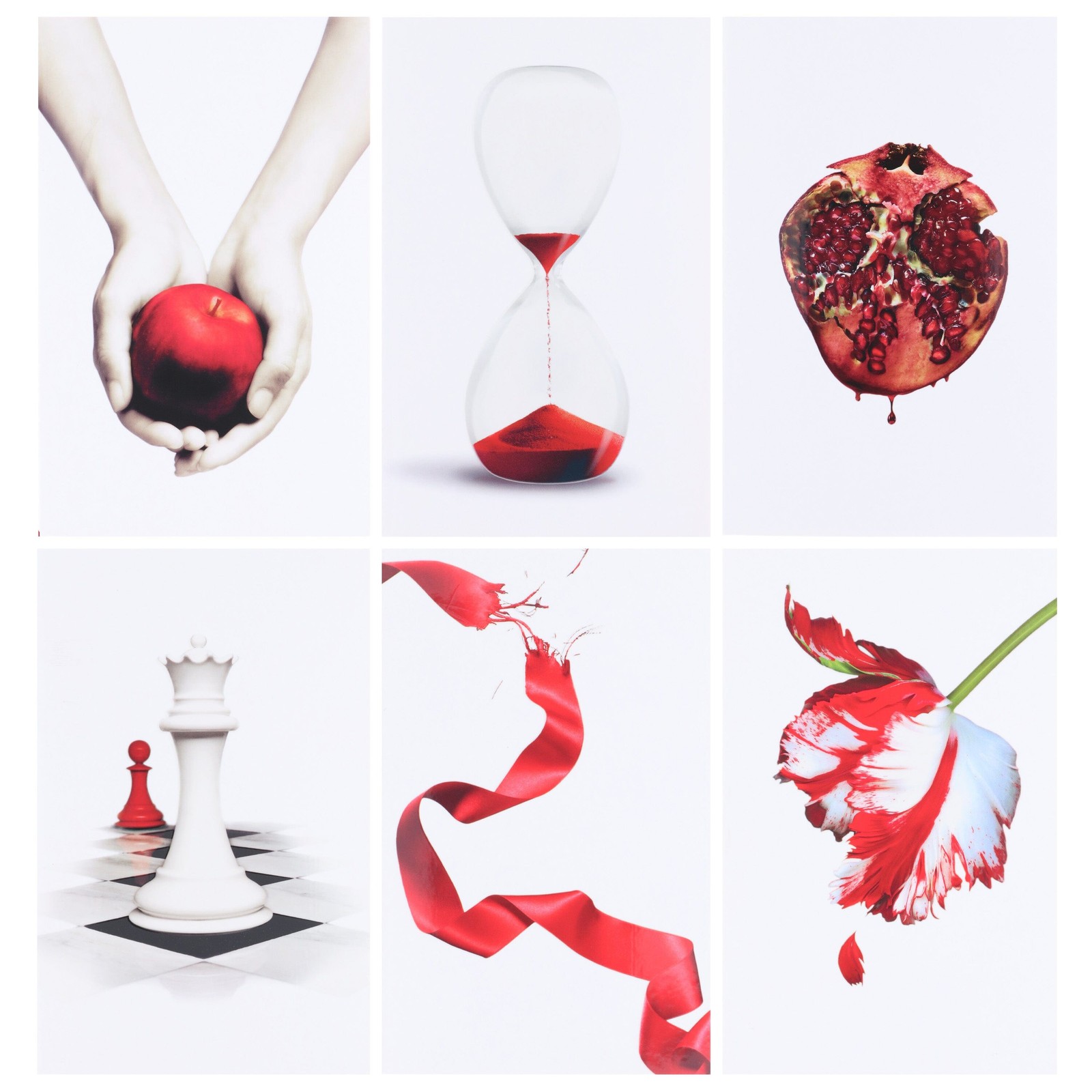 The Twilight Saga By Stephenie Meyer: 6 Books Collection Box Set