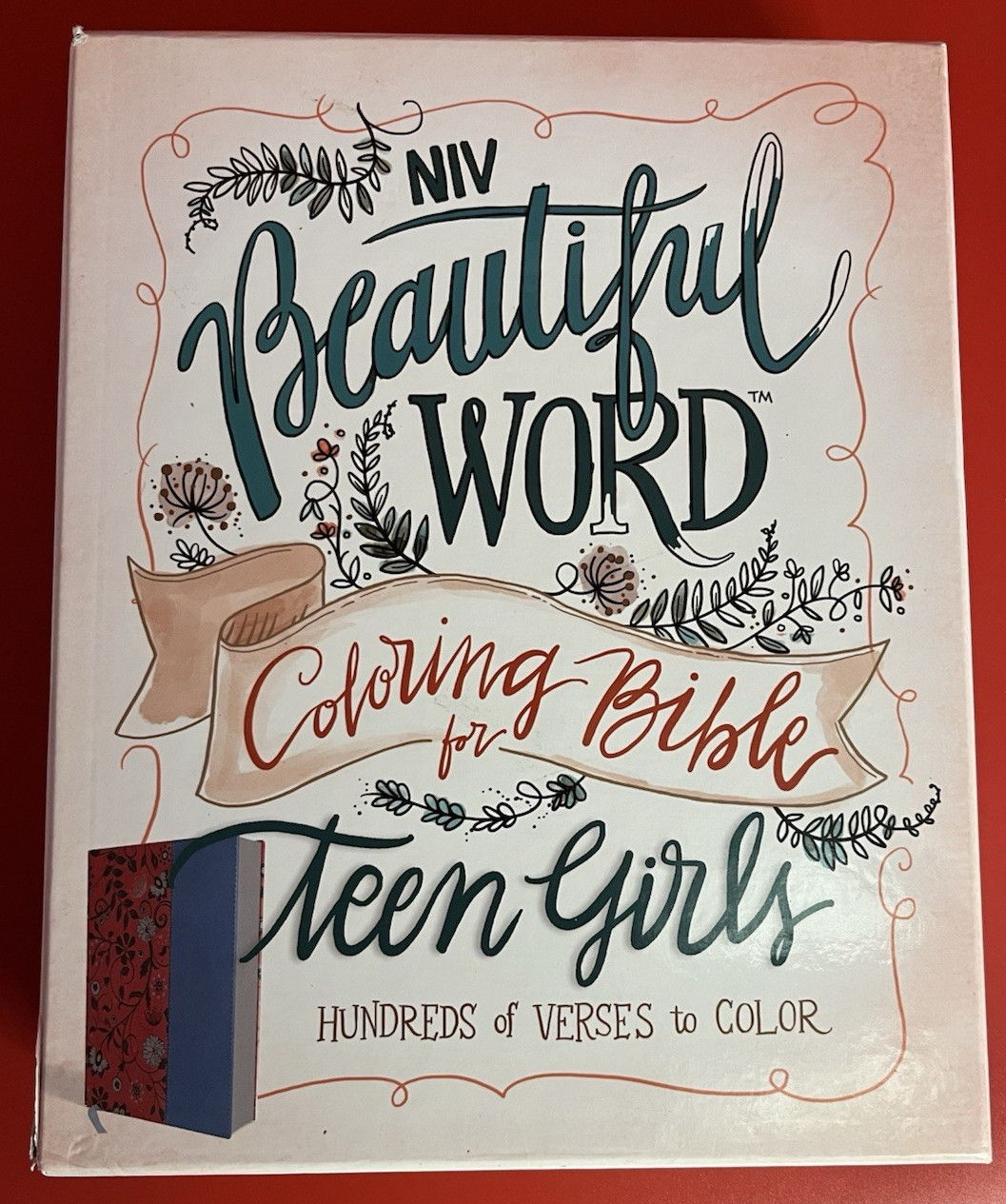 Beautiful Word Coloring Bible for Teen Girls~NIV~Leathersoft~Cranberry/Blue~New