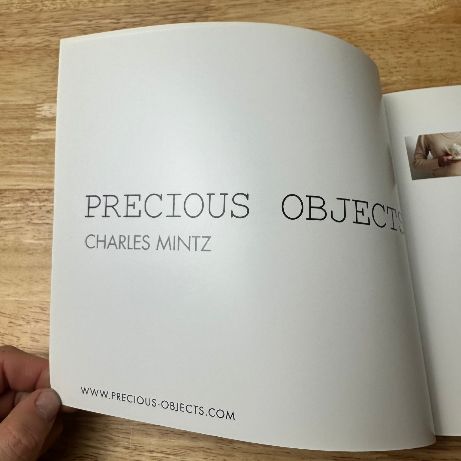 Precious Objects Charles Mintz 2008 Signed Copy Photography King&rsquo;s Hill