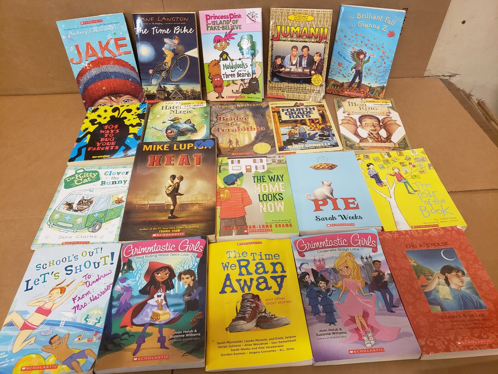 Lot of 10 Chapter ALL SCHOLASTIC Children Young RL 2-6 RANDOM UNSORTED BOOKS MIX