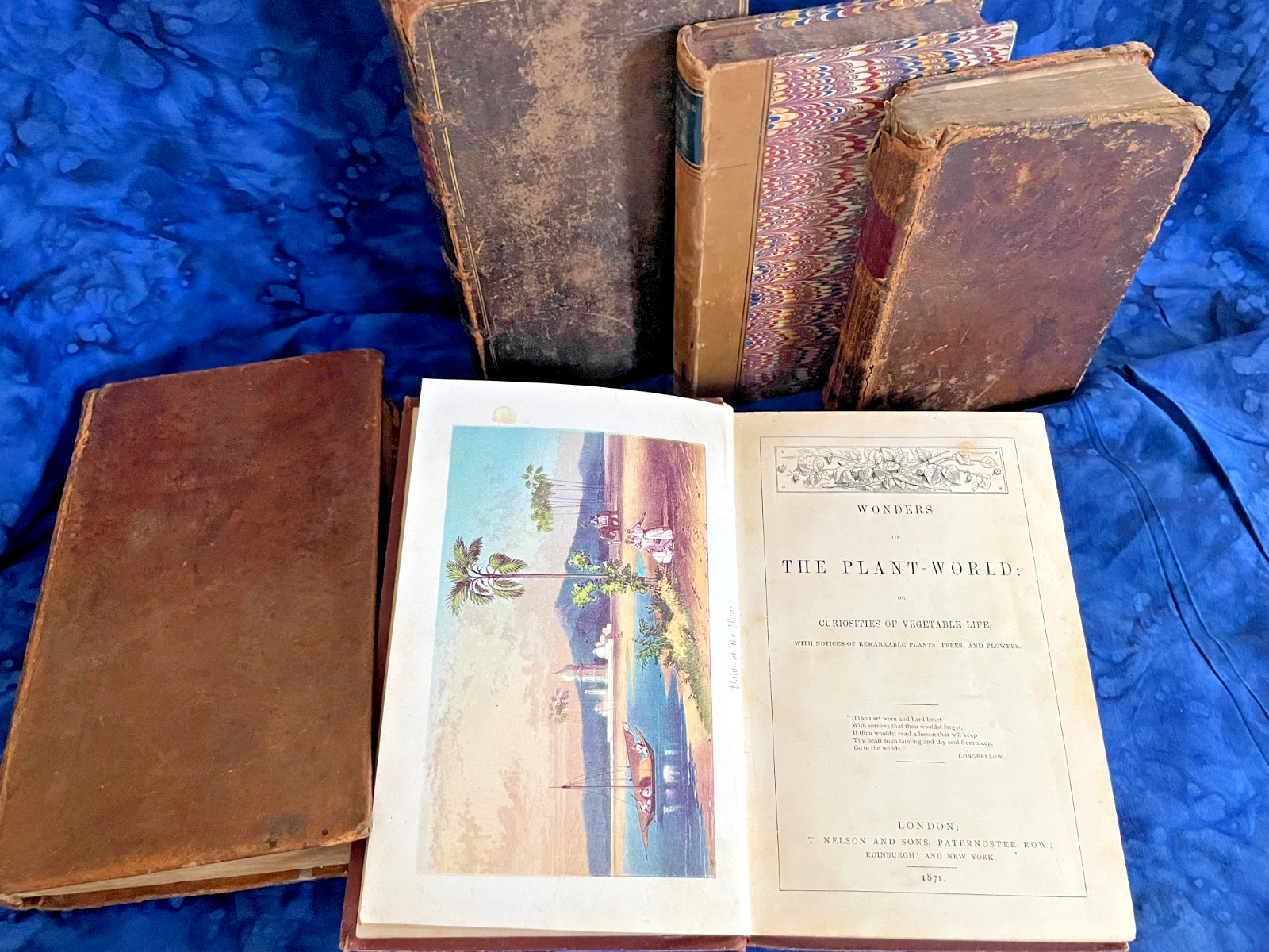 Tiny Antique Books; Miscellany, Plant World, Spectator, Columbian Orator #B46