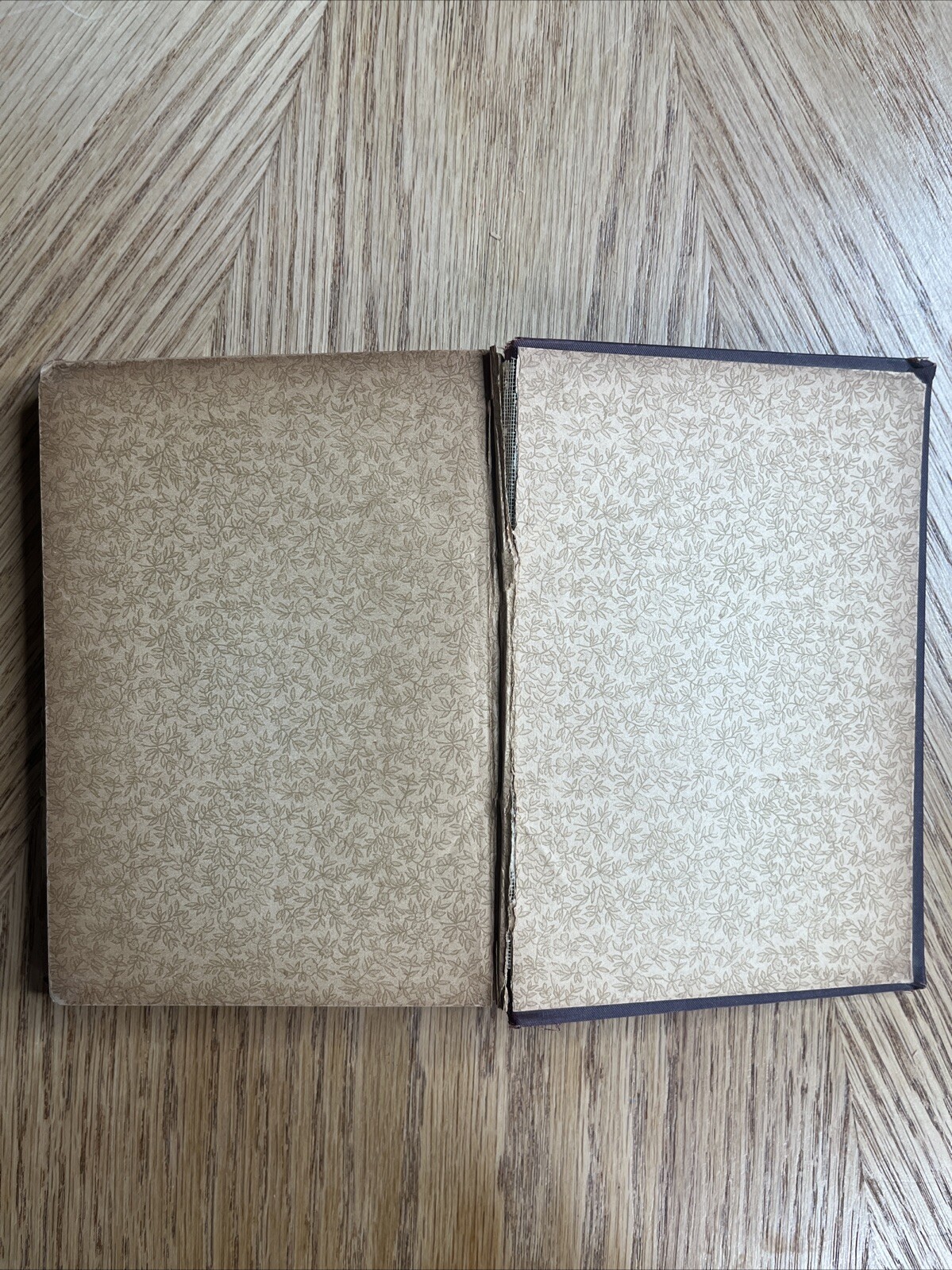 Famous People Of All Ages By W. H. Van Orden VTG 1885