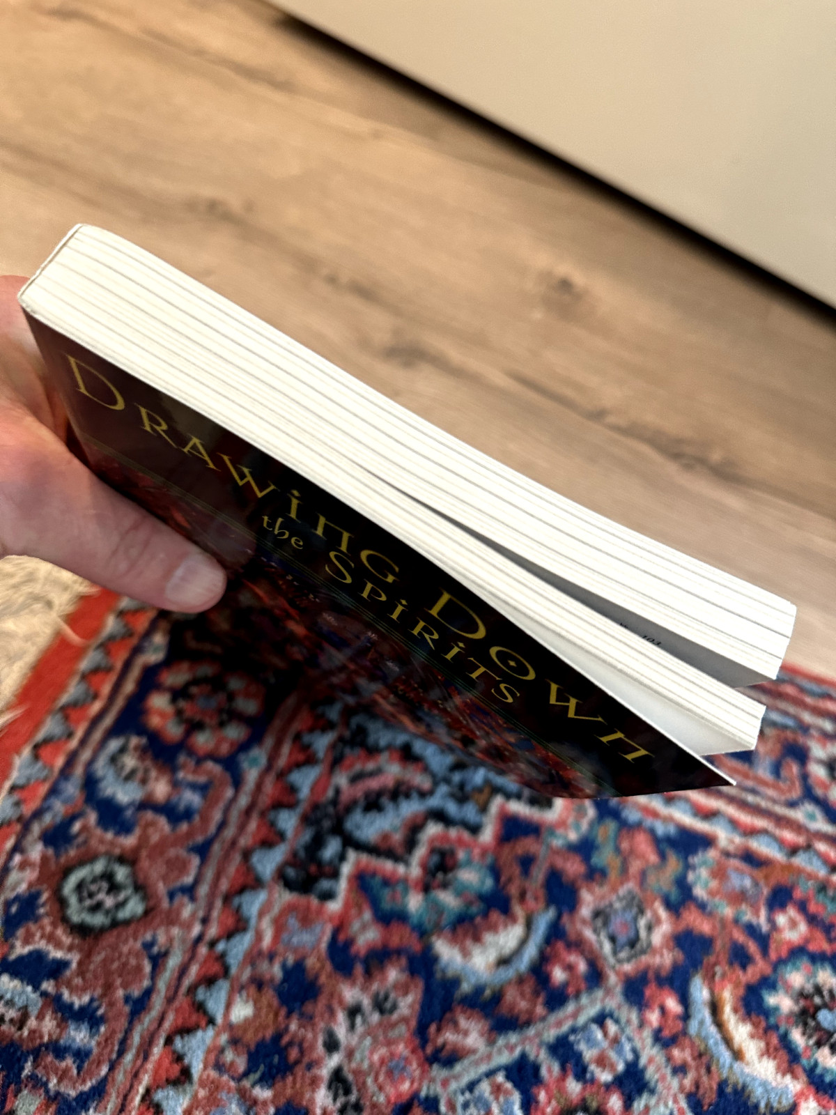 Drawing down the Spirits : The Traditions and Techniques of Spirit Possession by