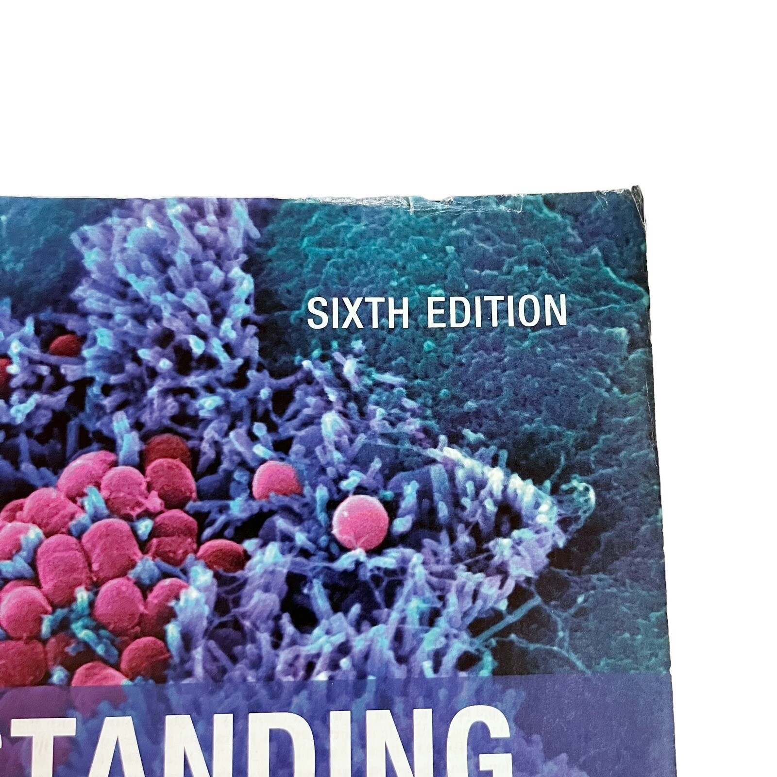 Understanding Pathophysiology Sixth Edition by Kathryn L. McCance Paperback