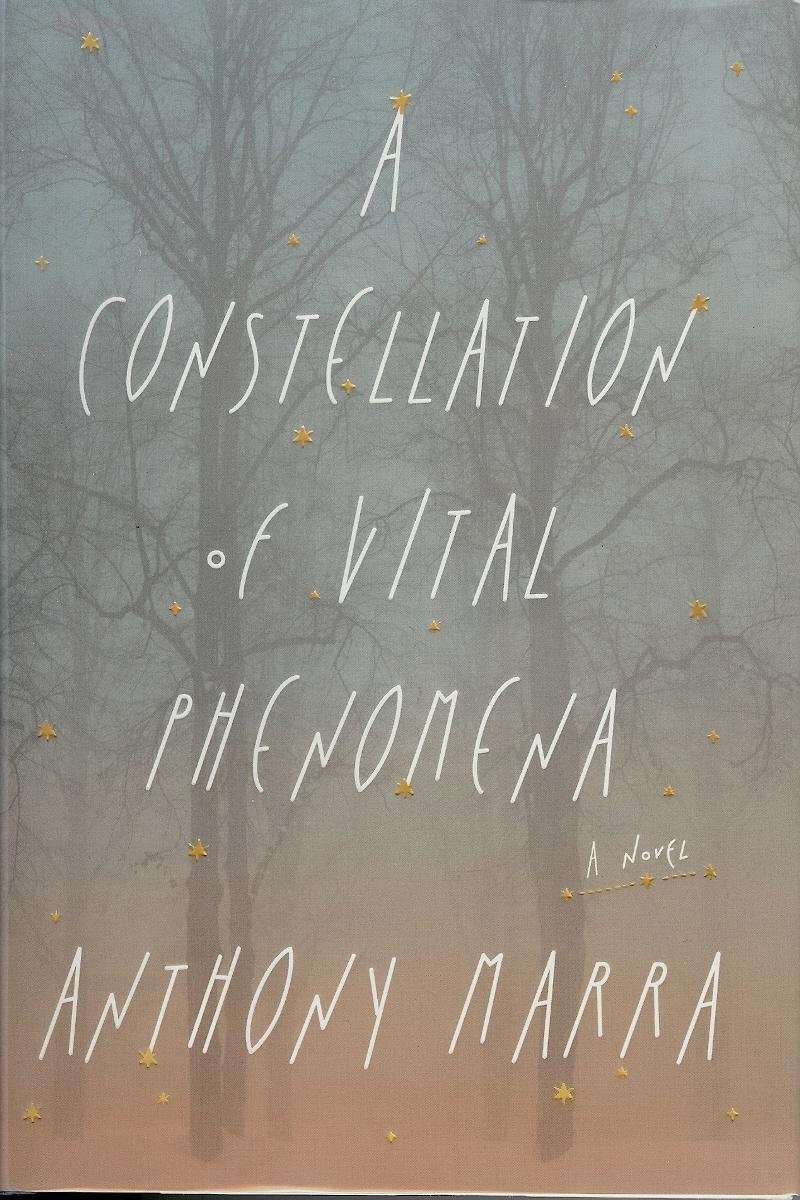 A Constellation of Vital Phenomena