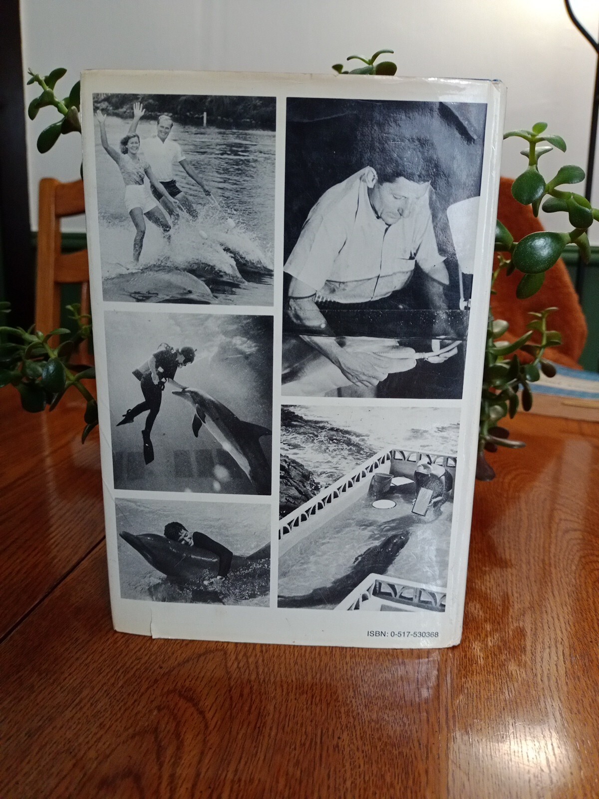 Communication Between Man and Dolphin John C. Lilly 1978 Vintage