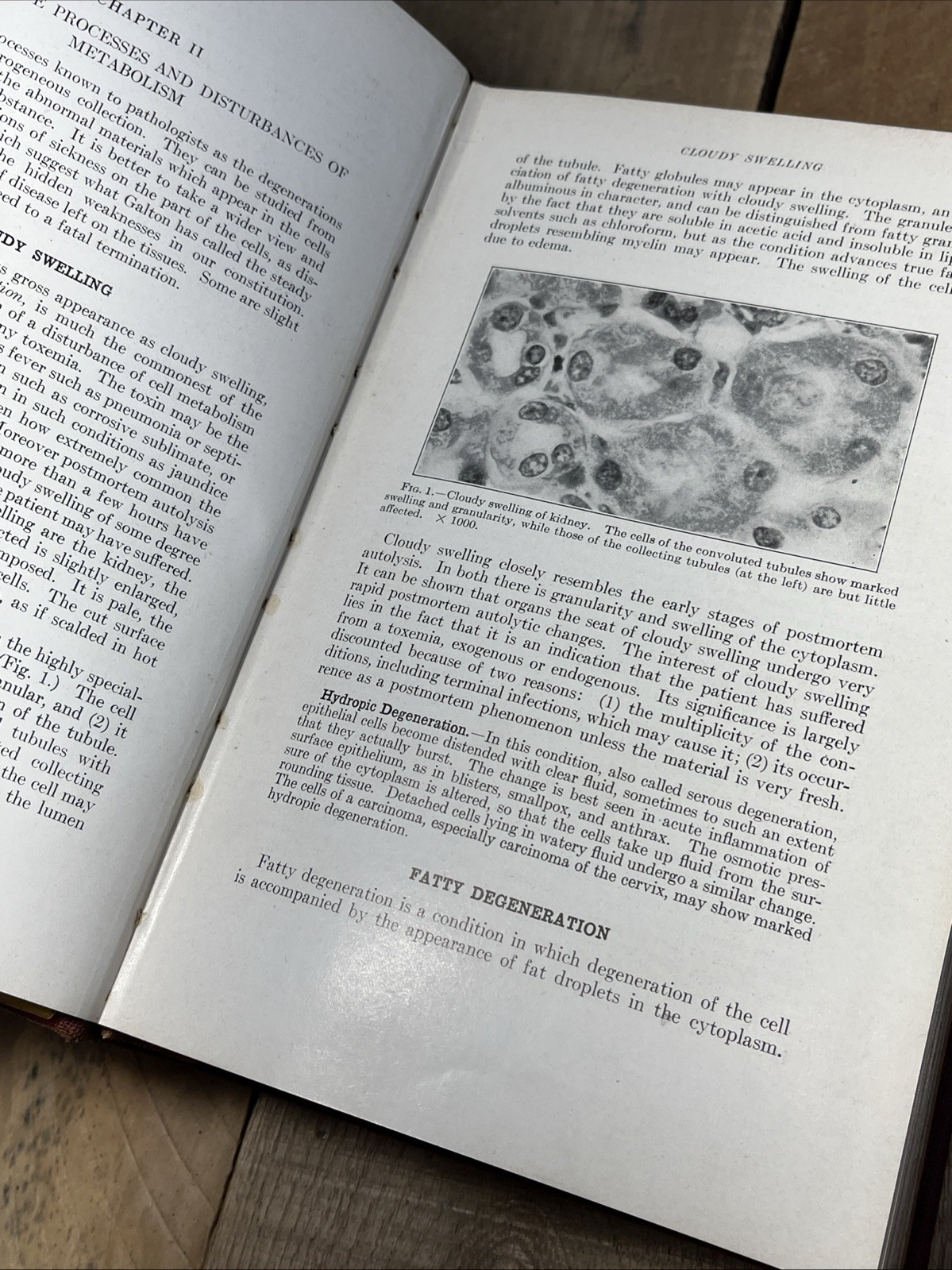 A Textbook Of Pathology by William Boyd Hardcover 1943 4th edition Fourth HBA