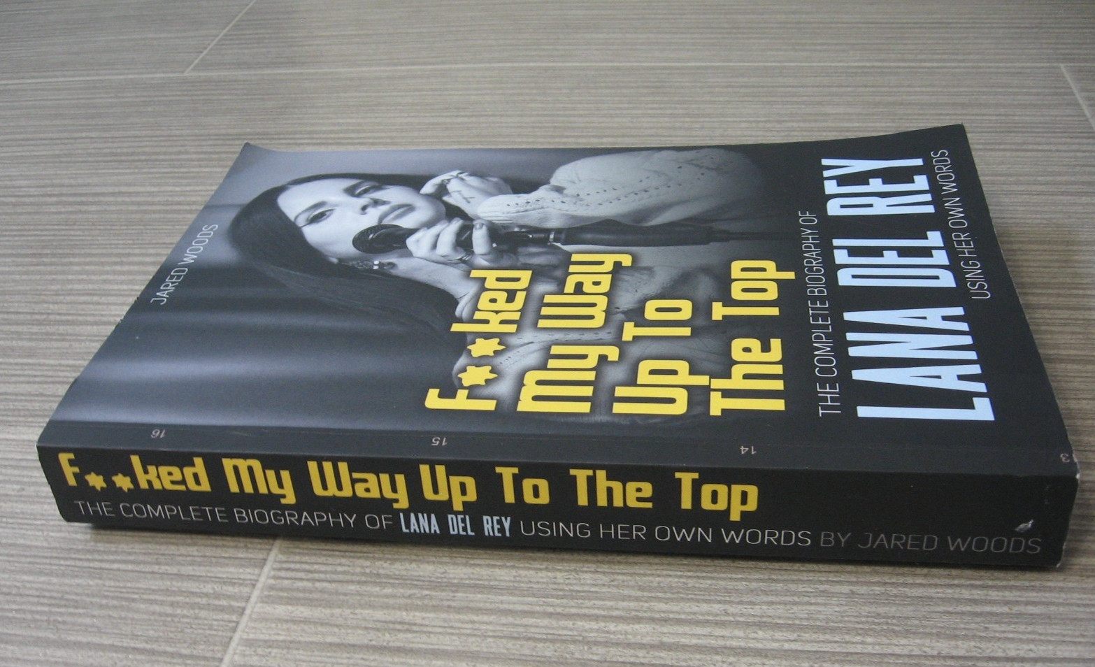 LANA DEL REY – F&rsquo;ED MY WAY TO THE TOP BIOGRAPHY – RARE OOP PAPERBACK – 2024