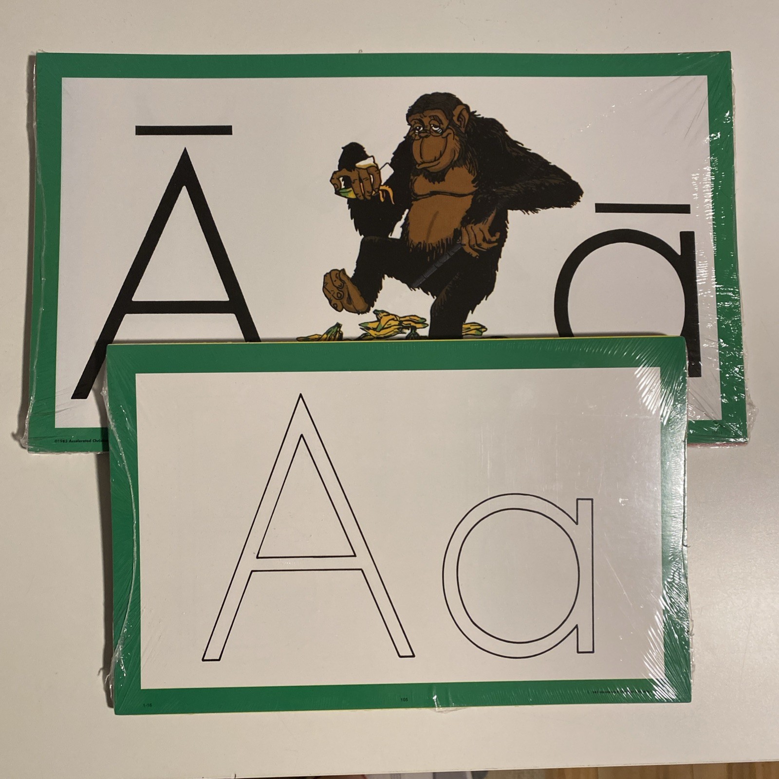 ACE Flash Cards Display Cards Tactile-Kinetic Accelerated Christian Education
