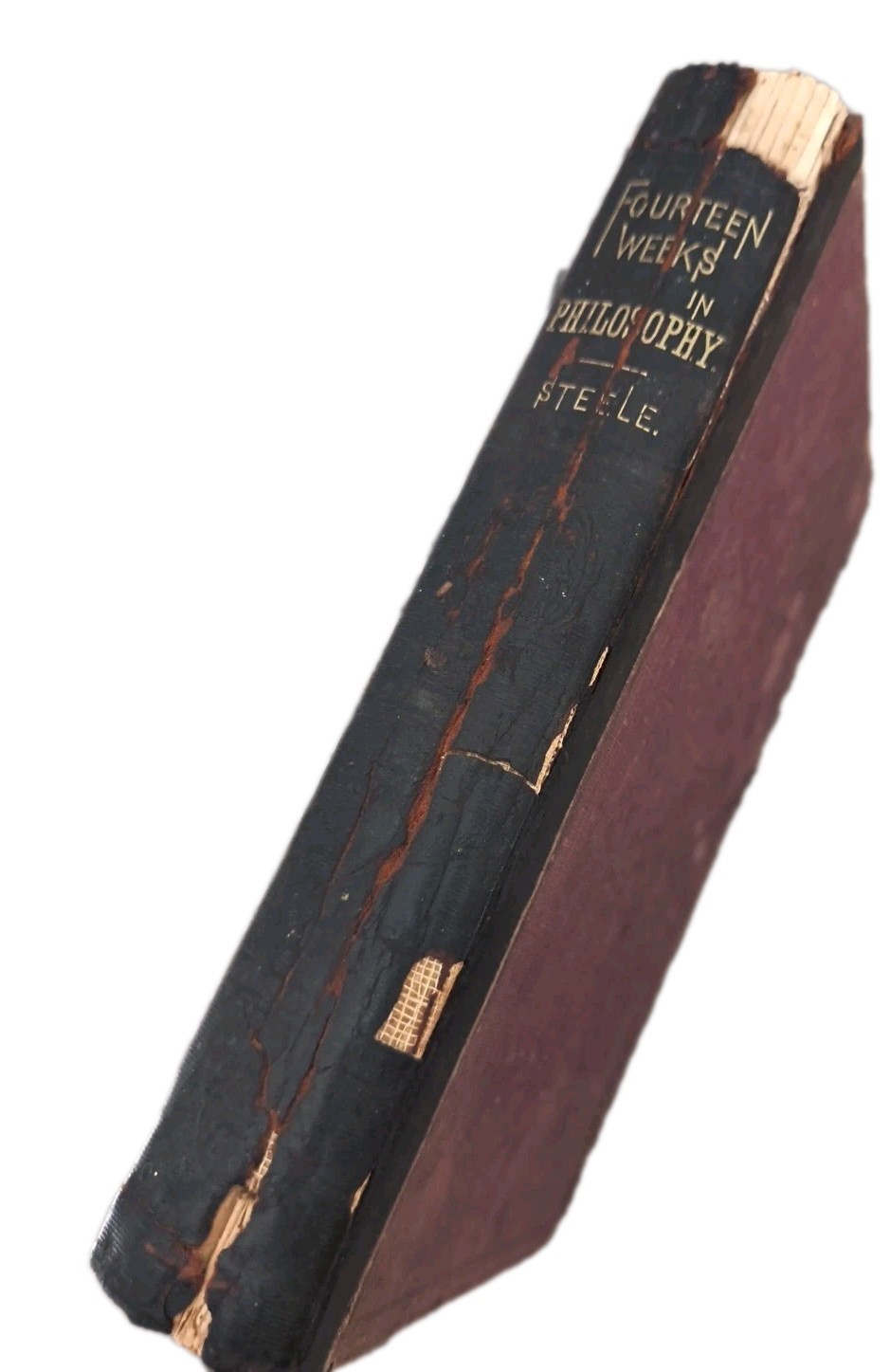 Fourteen Weeks in Natural Philosophy by J. Dorman Steele 1876 antique
