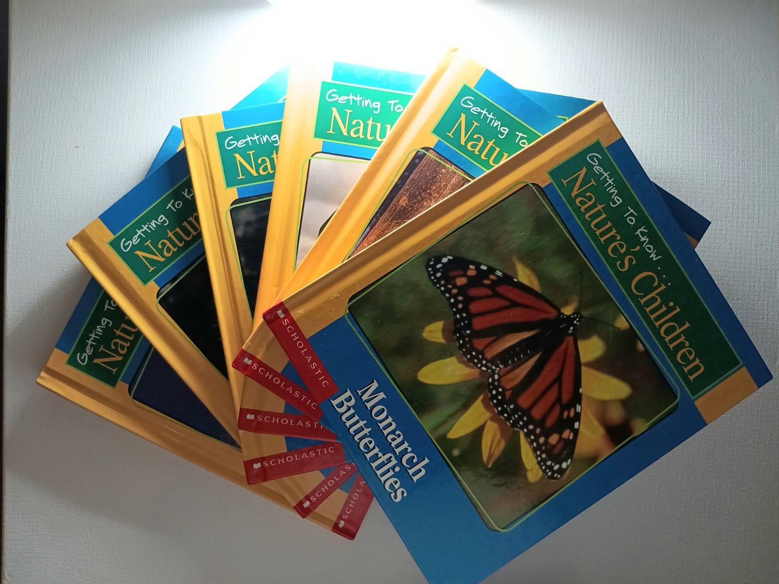 Scholastic Getting to know Nature&rsquo;s children Animal Books Lot of 6 (hard cover)