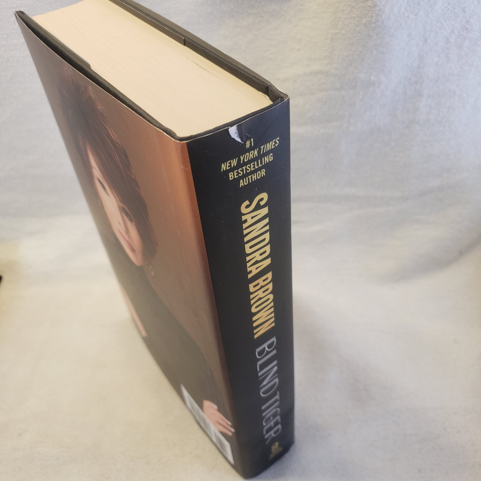 2 Novels- BLIND TIGER Sandra Brown & A TERRIBLE FALL OF ANGELS, Laurell Hamilton