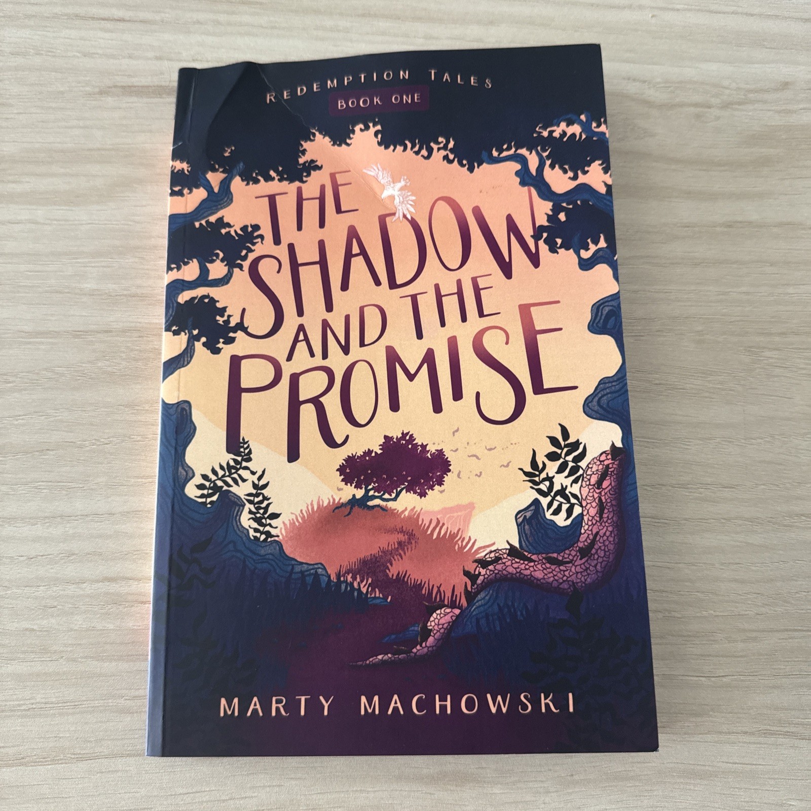 Shadow and the Promise by Marty Machowski and Blair Files (2024, Trade…