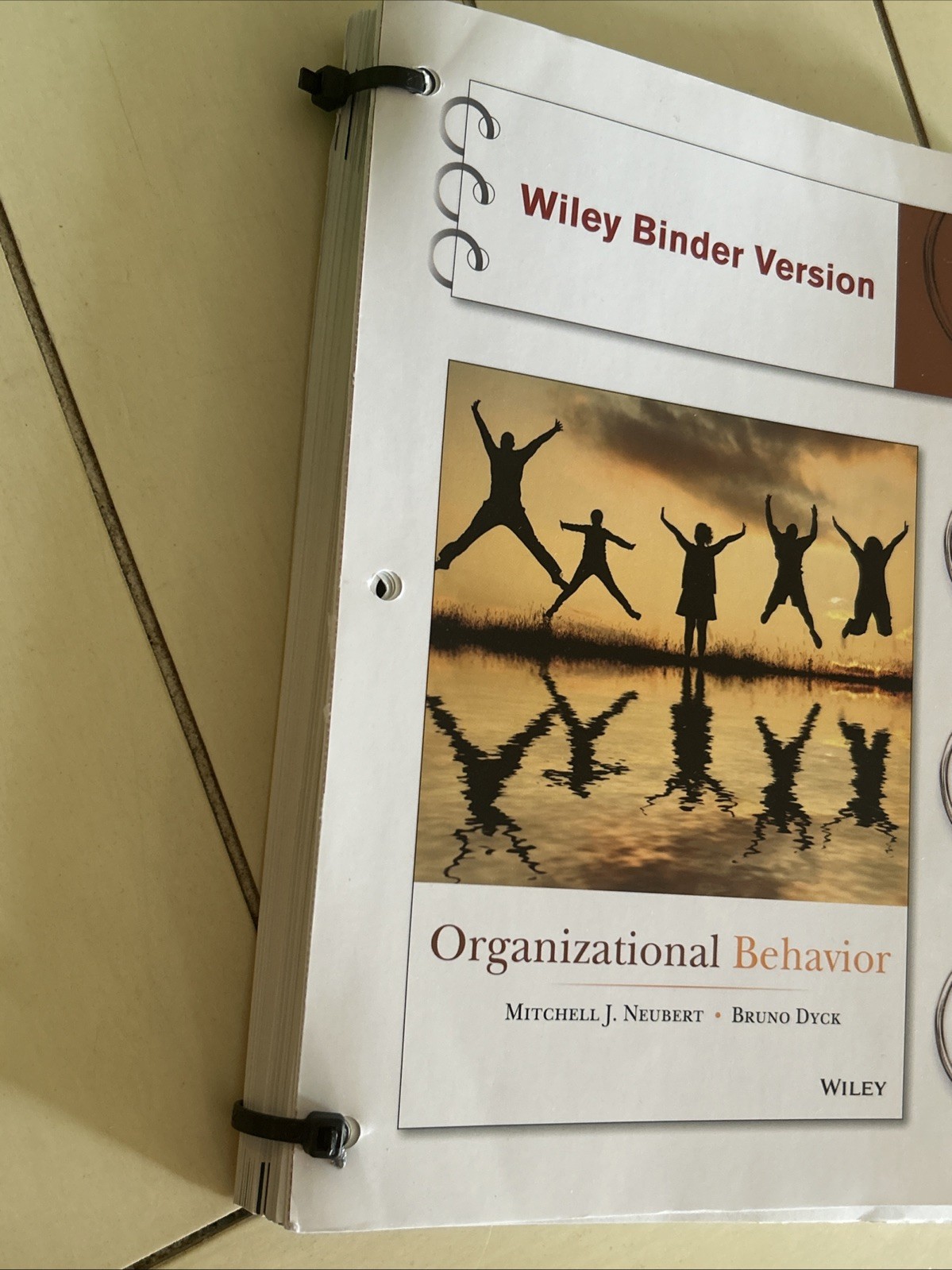 Organizational Behavior – Loose Leaf Ringbound, Bruno Dyck, Mitchell J. Neubert