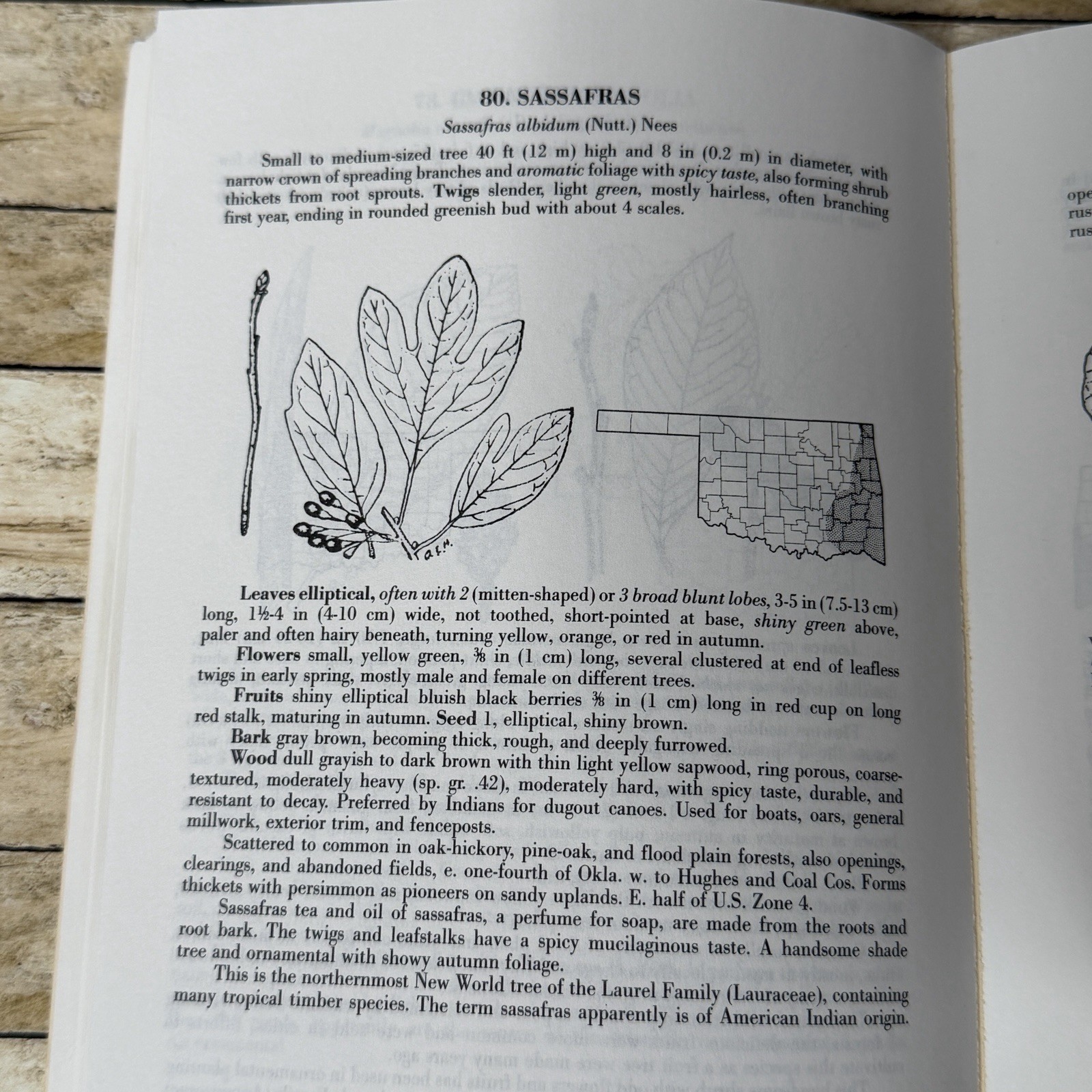 Forest Trees of Oklahoma Guidebook 1991 How to Know Them Botany Illustrated