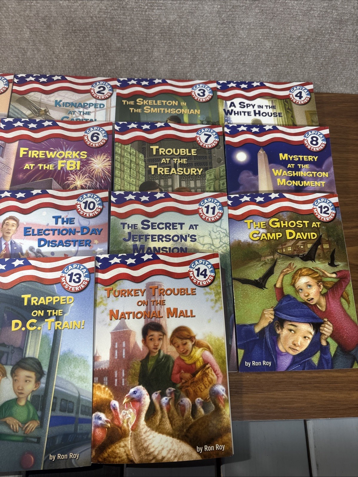 CAPITAL MYSTERIES Ron Roy Chapter Books Complete Series Lot 1-14 Bundle Kids
