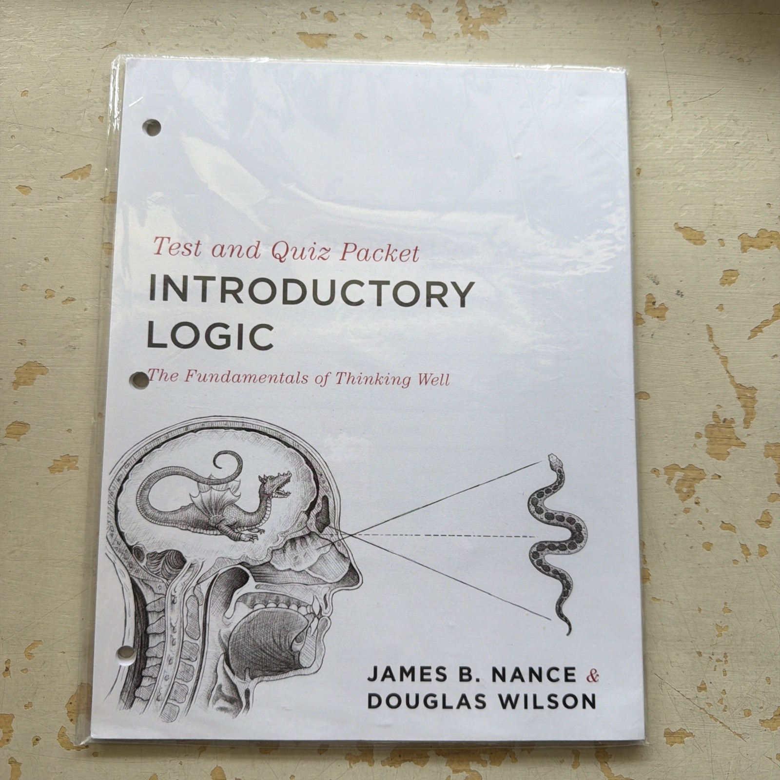 Introductory Logic : The Fundamentals of Thinking Well AND Test & Quiz Packet