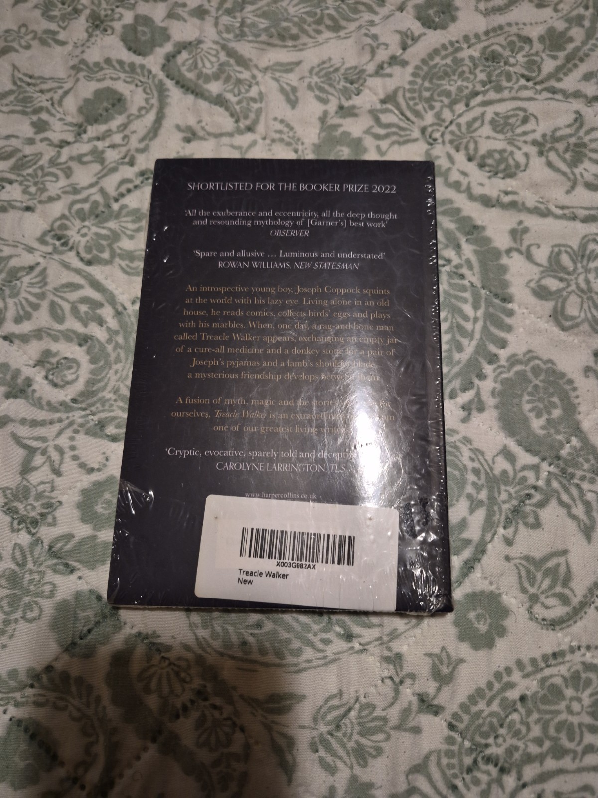 Treacle Walker Paperback Alan Garner