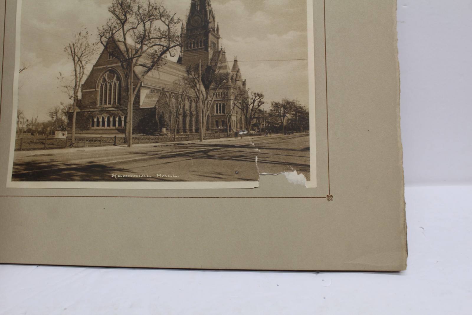 Antique Harvard University Albertype Souvenir Photo Book 25-6&Prime;x8&Prime; pictures