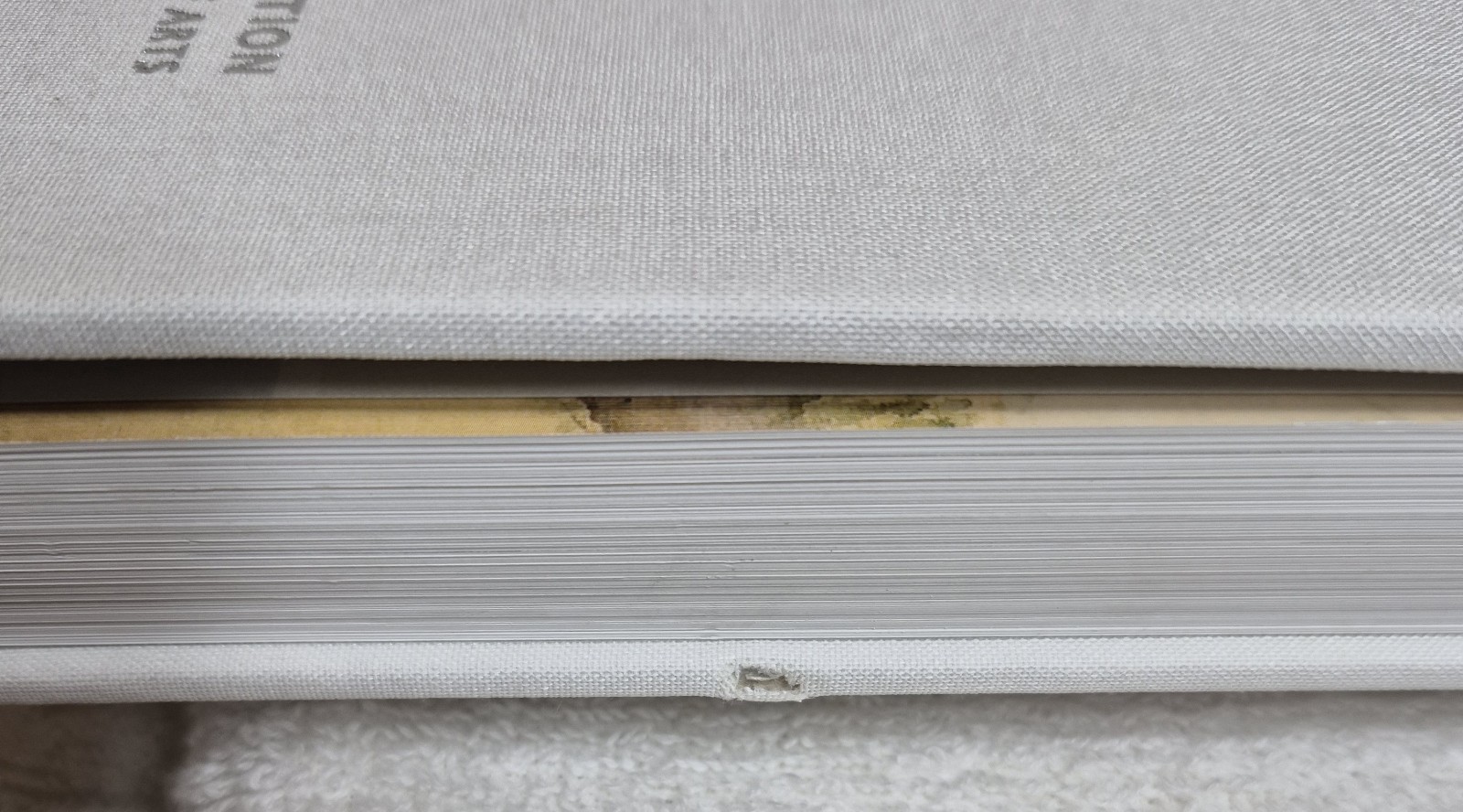 Literati Modern: Bunjinga from Late Edo to 20th Century (Berry & Morioka • 2008)