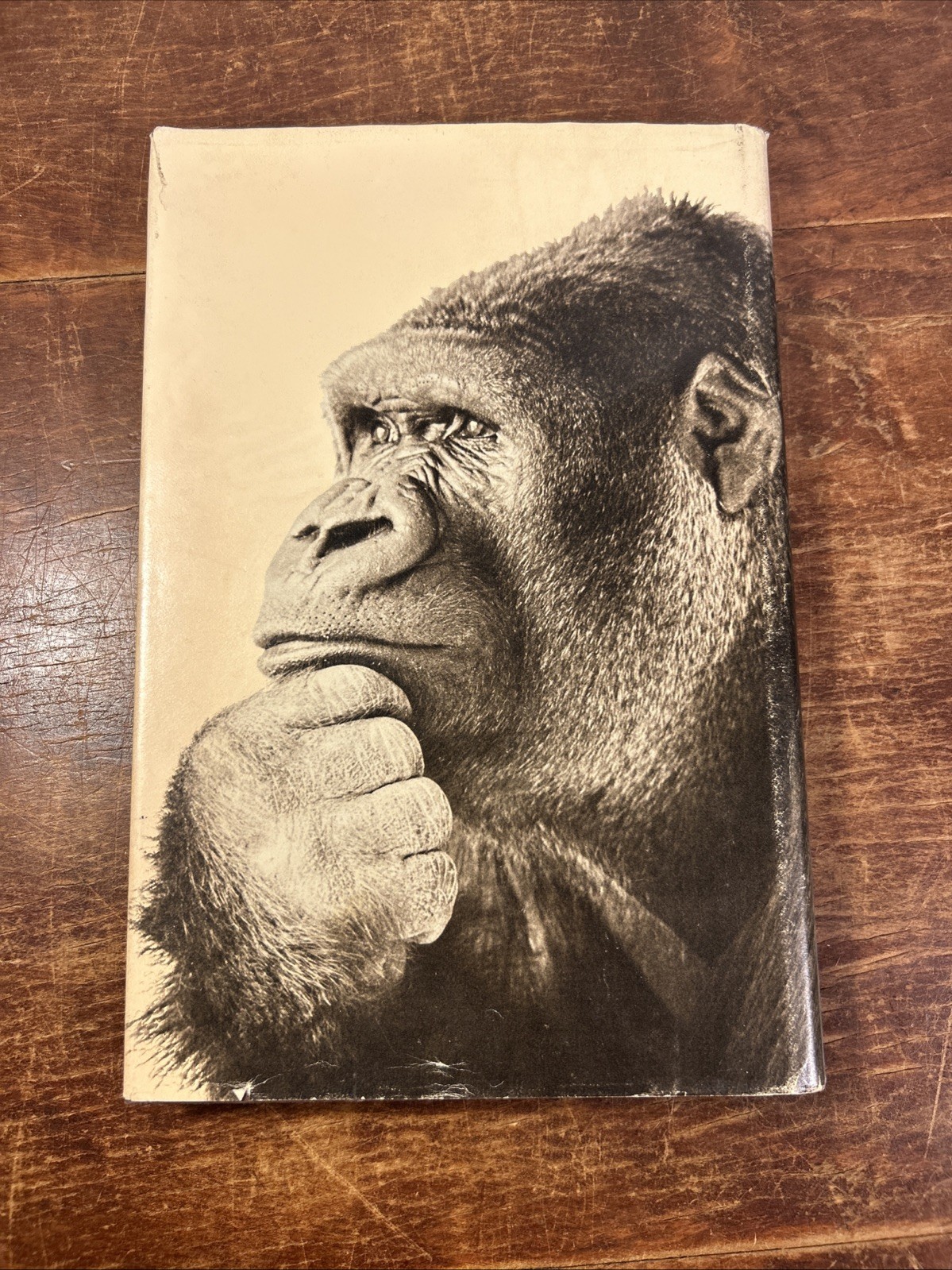 Thinking Gorillas Testing Teaching by Bettyann Kevles HCDJ 1980 – 1st edition