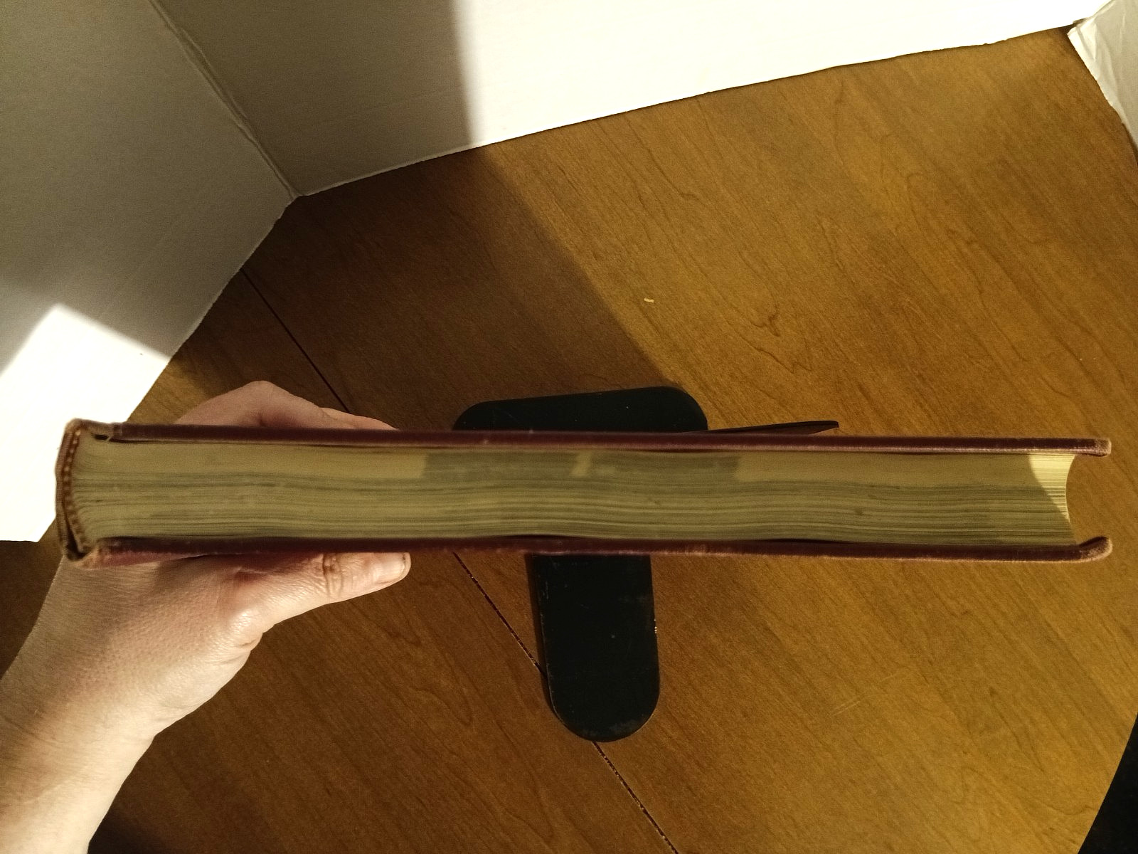 ~ HARVARD COLLEGE 1964 Yearbook Three Twenty Eight UNSIGNED ~