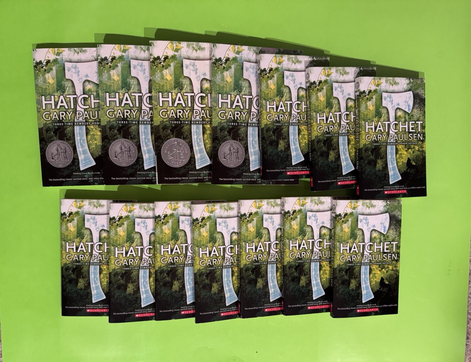 A Hatchet Adventure Ser.: Brian&rsquo;s Hunt by Gary Paulsen (2012) Set Of 14 Books