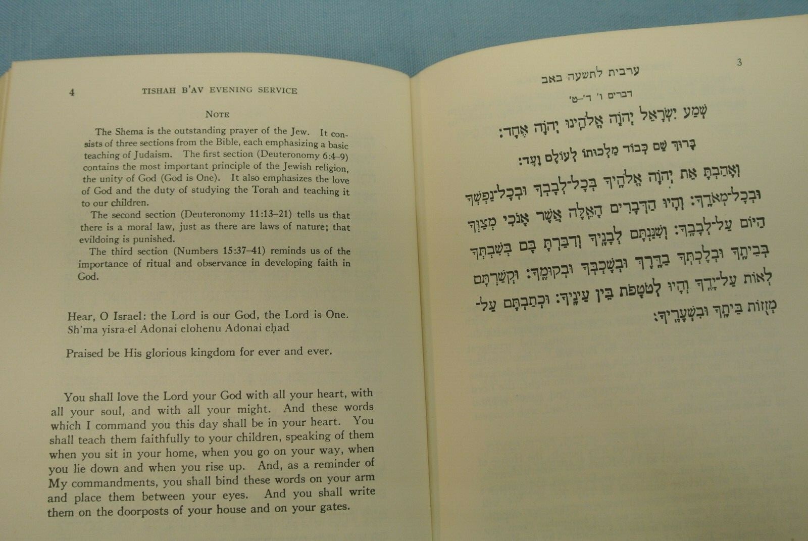TISHAH B&rsquo;AV SERVICES (EXPANDED EDITION) BOOKLETS JUDAICA JEWISH