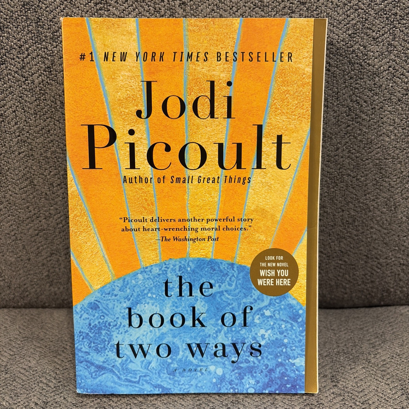 Book of Two Ways by Jodi Picoult (2020, Paperback)