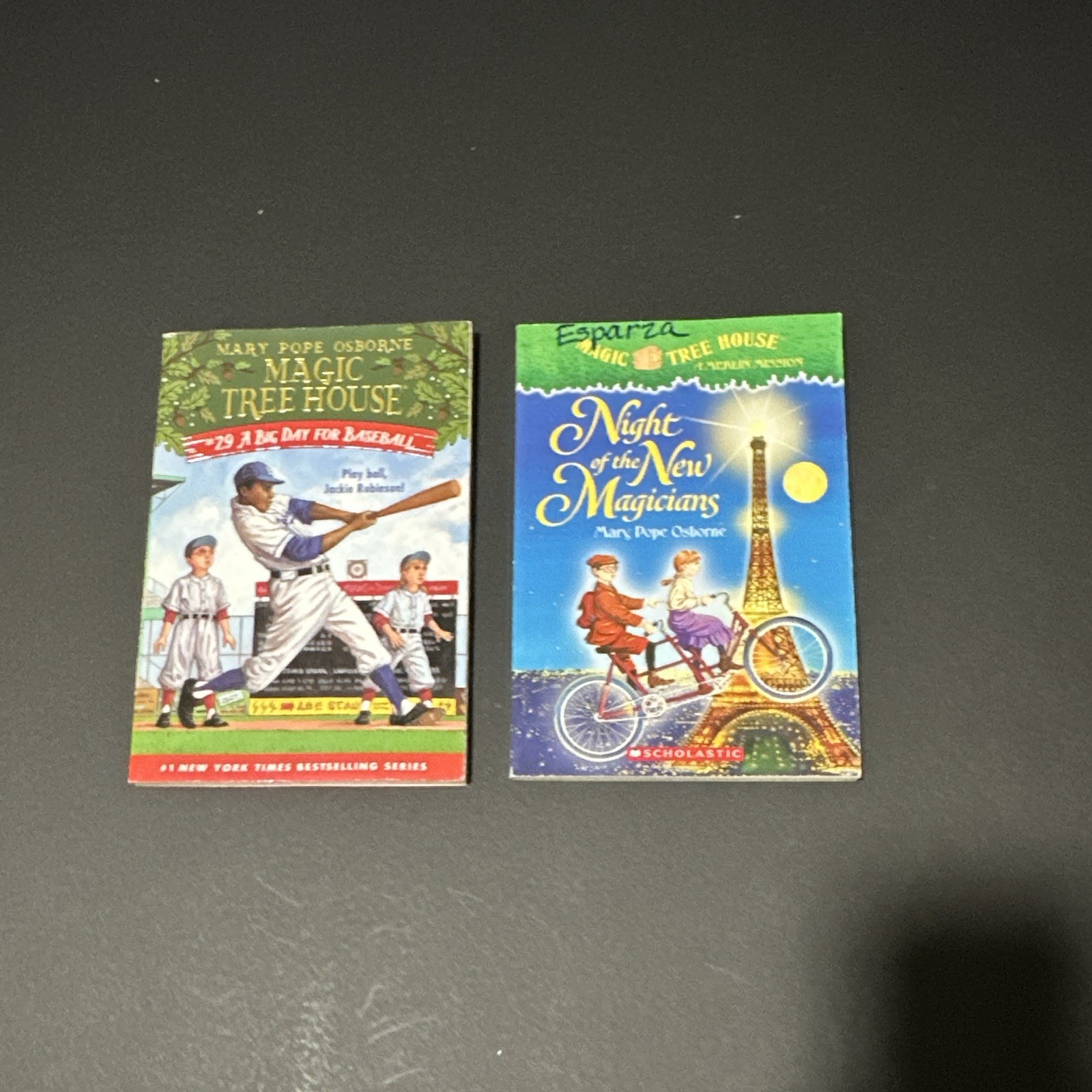 Magic Tree House Paperback Book Lot by Mary Pope Osborne Ages 4-8 51 books total