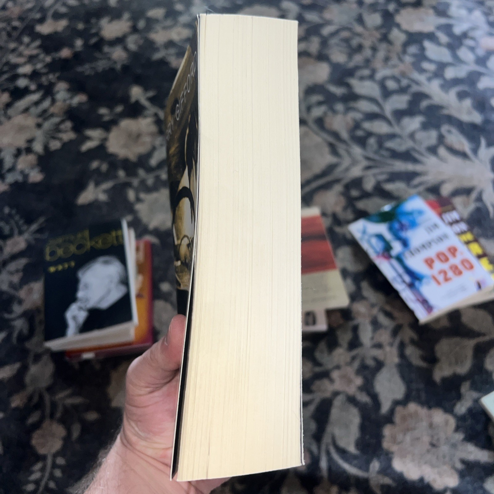 Sailor and Lula, Expanded Edition : The Complete Novels by Barry Gifford (2019,)