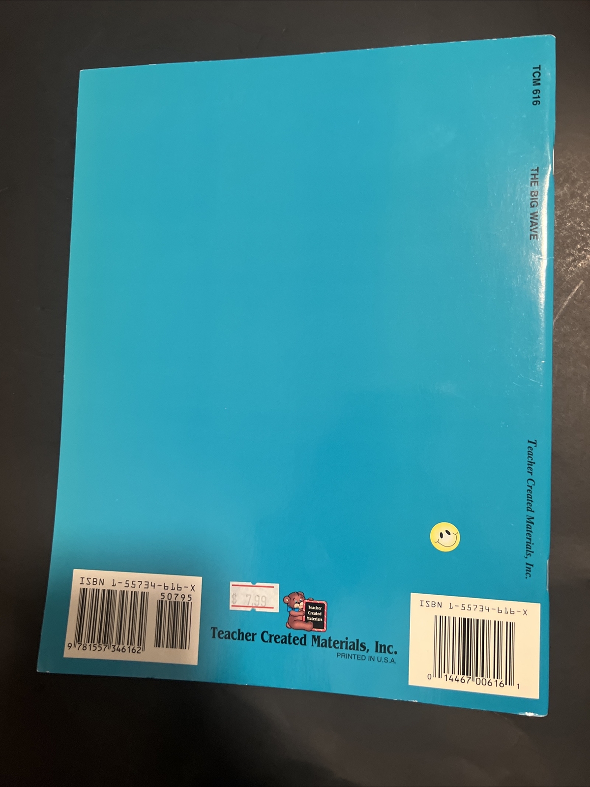 Literature Units Ser.: A Guide for Using the Big Wave in the Classroom by Susan